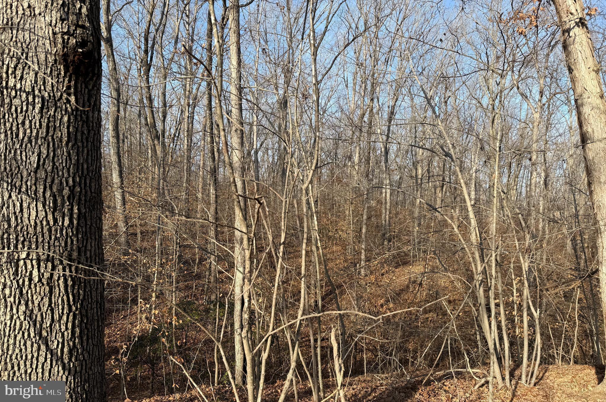 6002 STUBBS BRIDGE ROAD