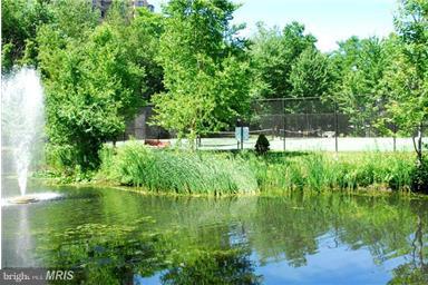 ROTONDA - Residential Lease