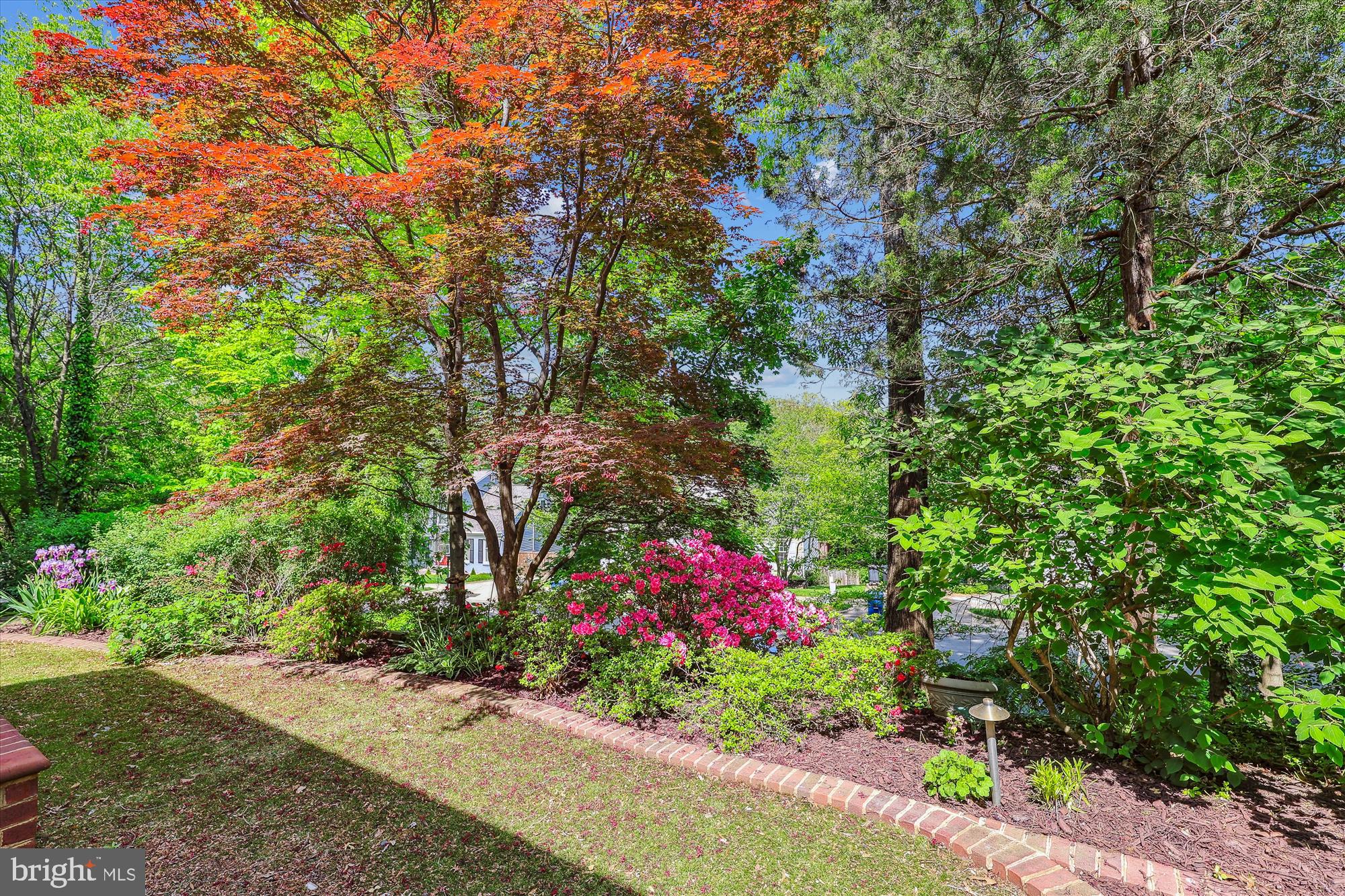 EDDINGTON TERRACE - Residential