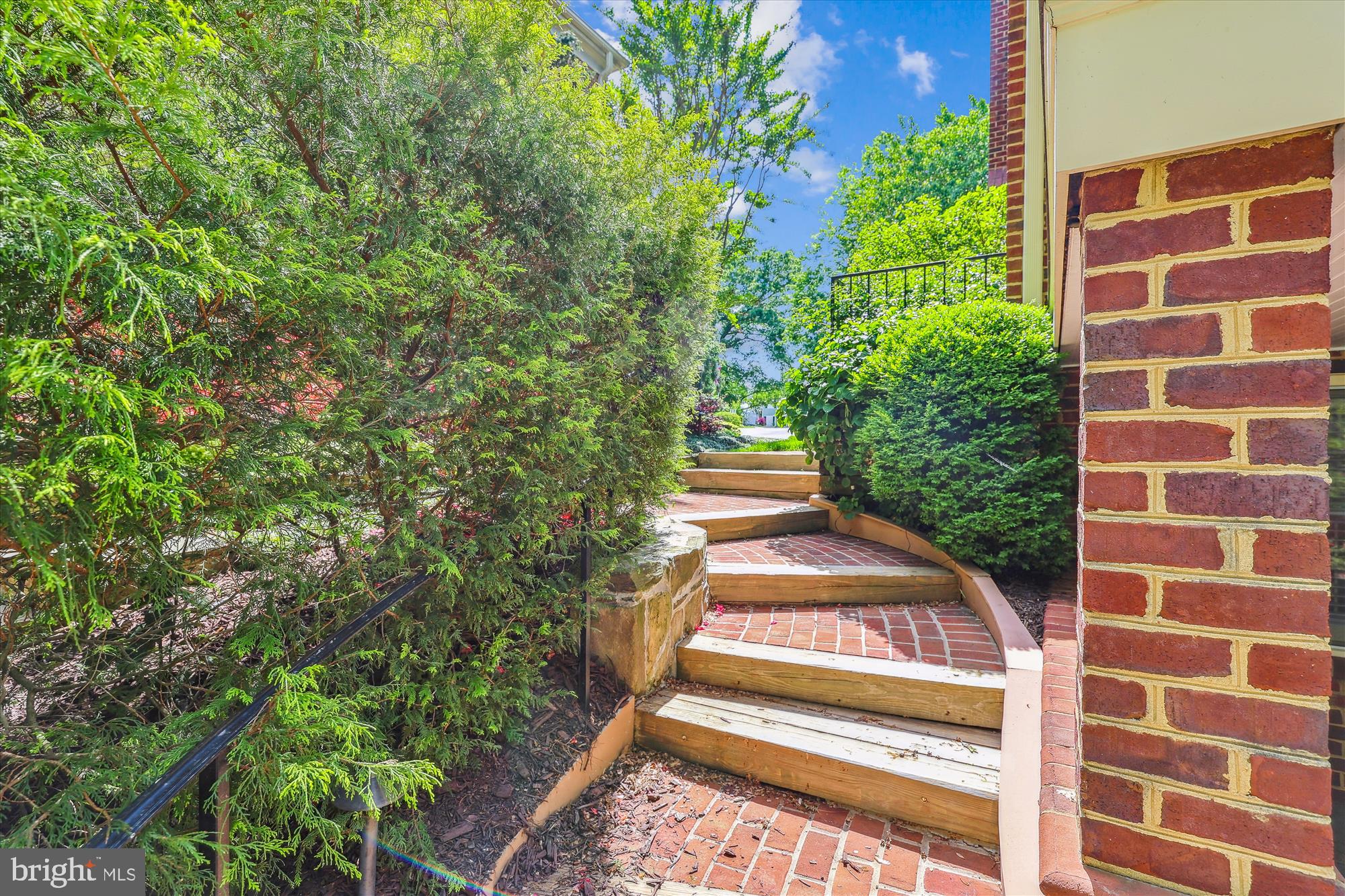 EDDINGTON TERRACE - Residential