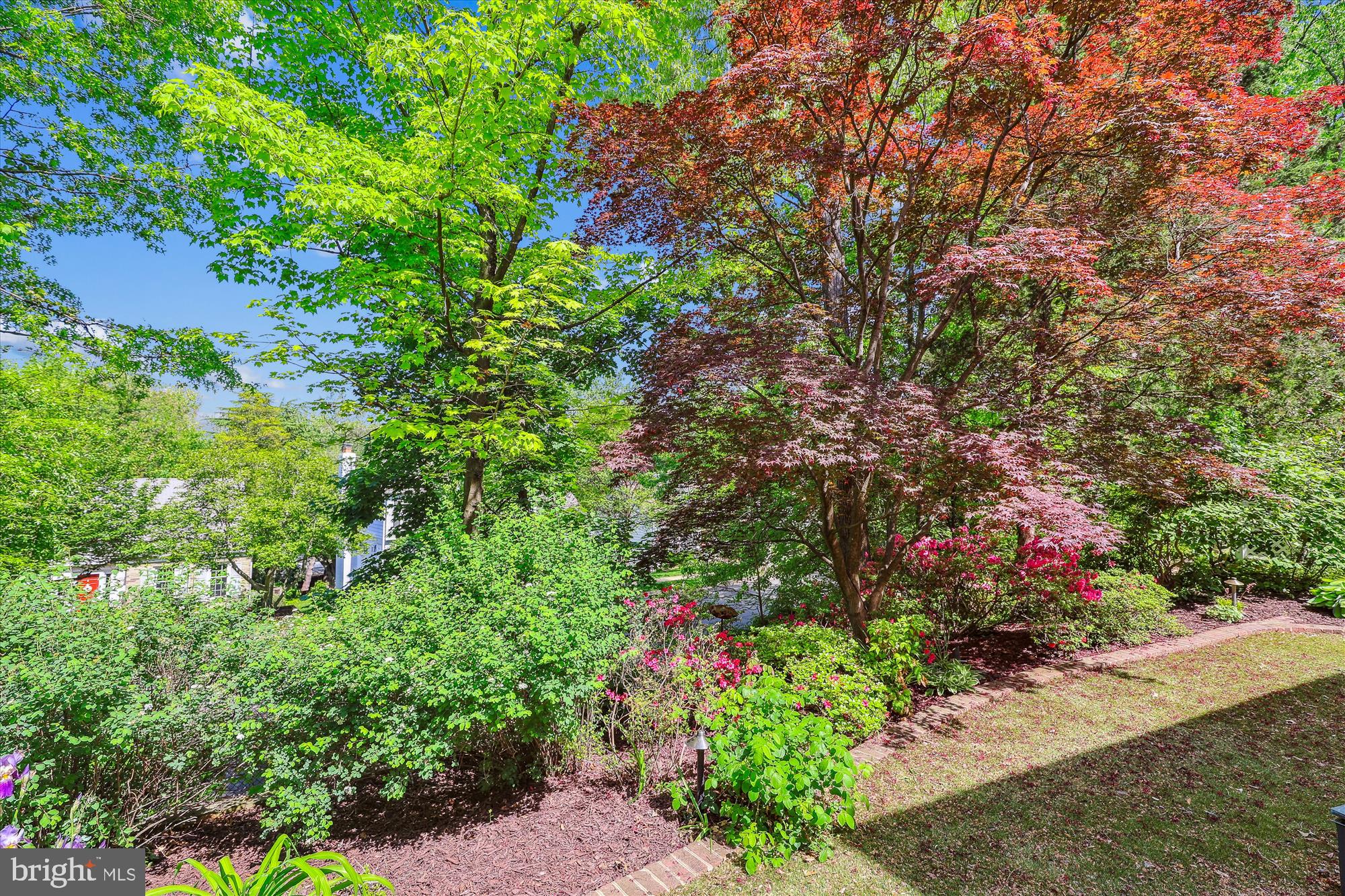 EDDINGTON TERRACE - Residential