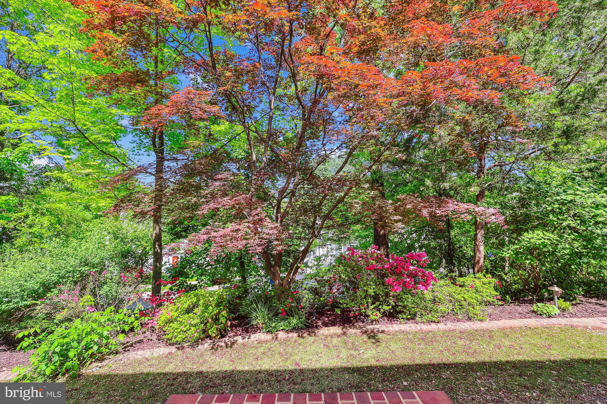 EDDINGTON TERRACE - Residential