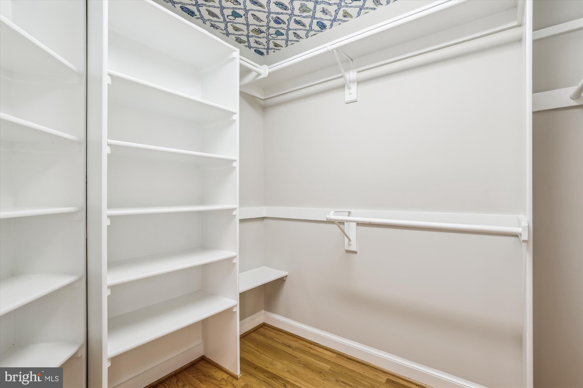 EDDINGTON TERRACE - Residential