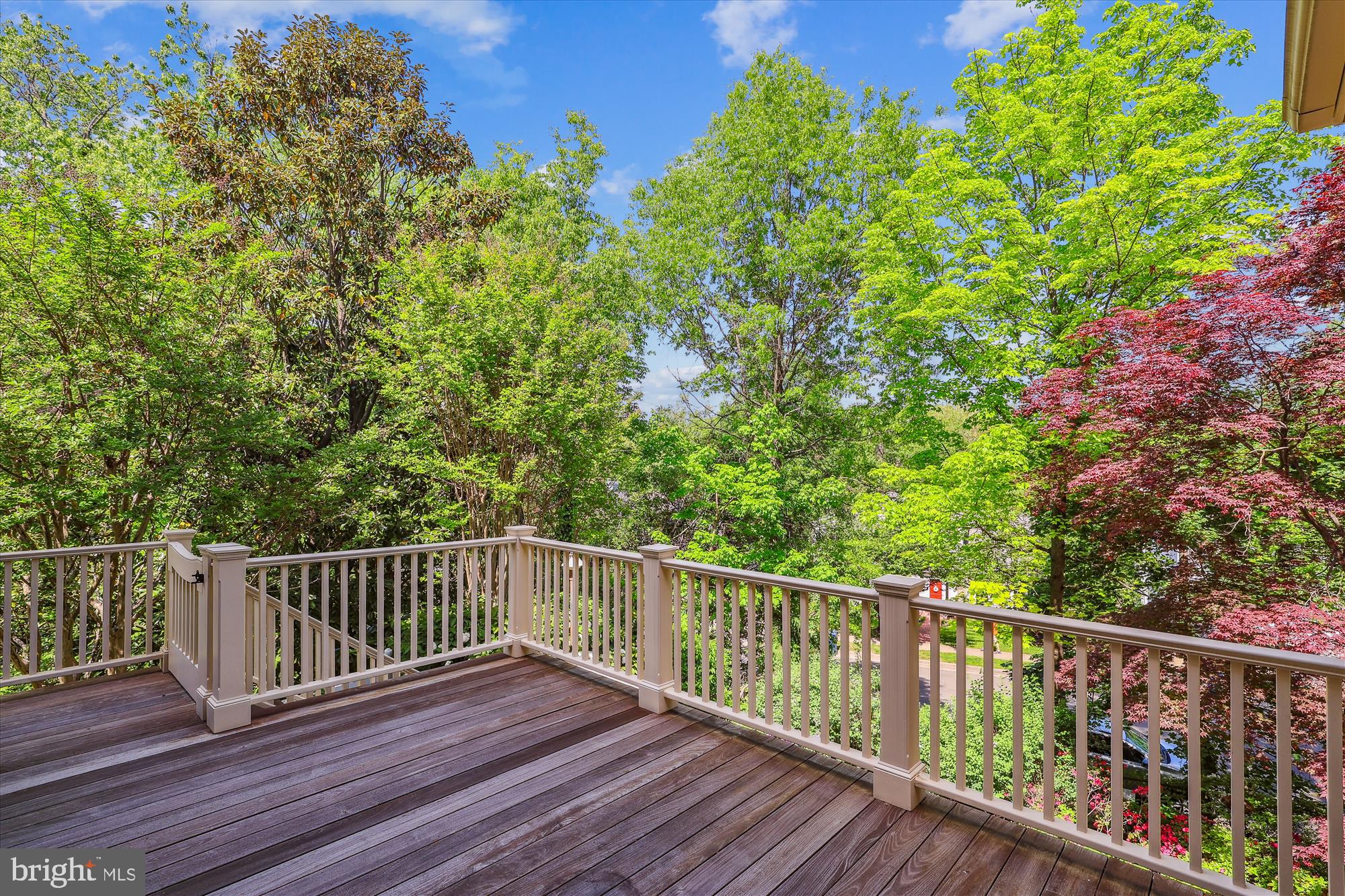 EDDINGTON TERRACE - Residential