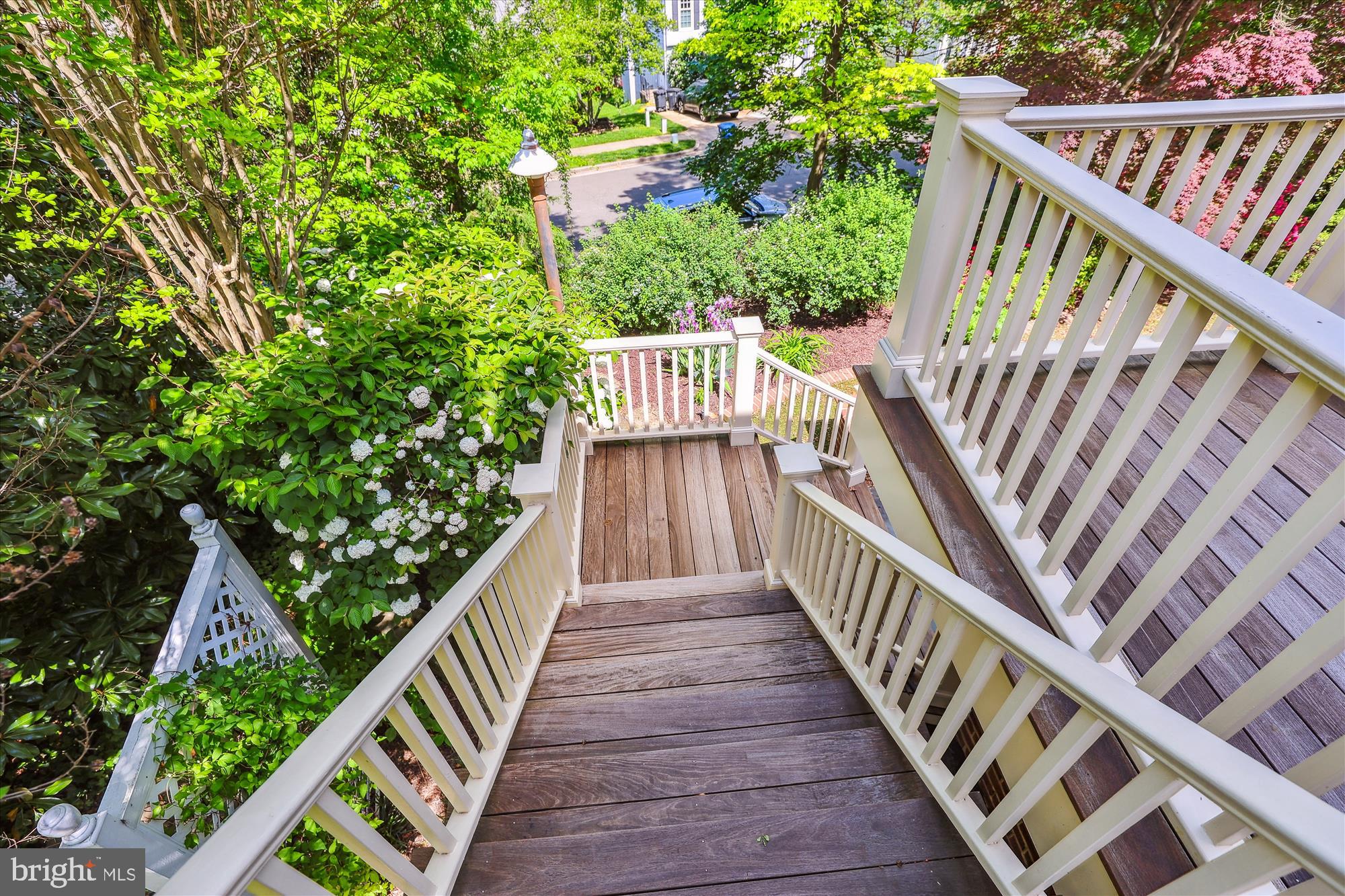 EDDINGTON TERRACE - Residential