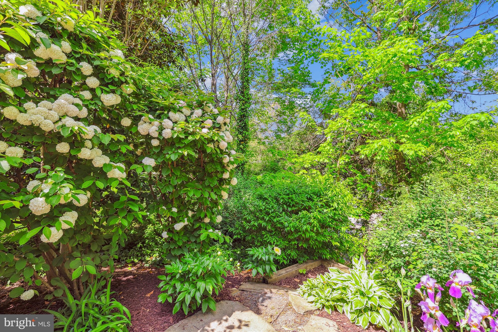 EDDINGTON TERRACE - Residential