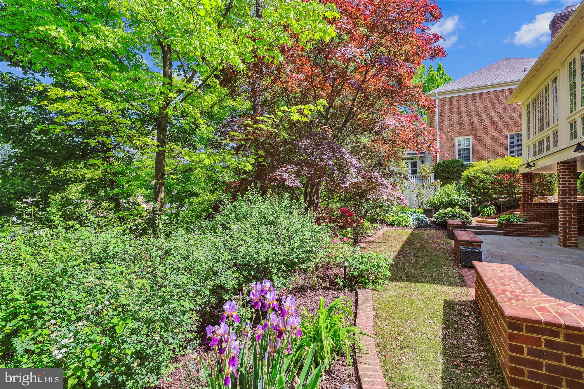 EDDINGTON TERRACE - Residential