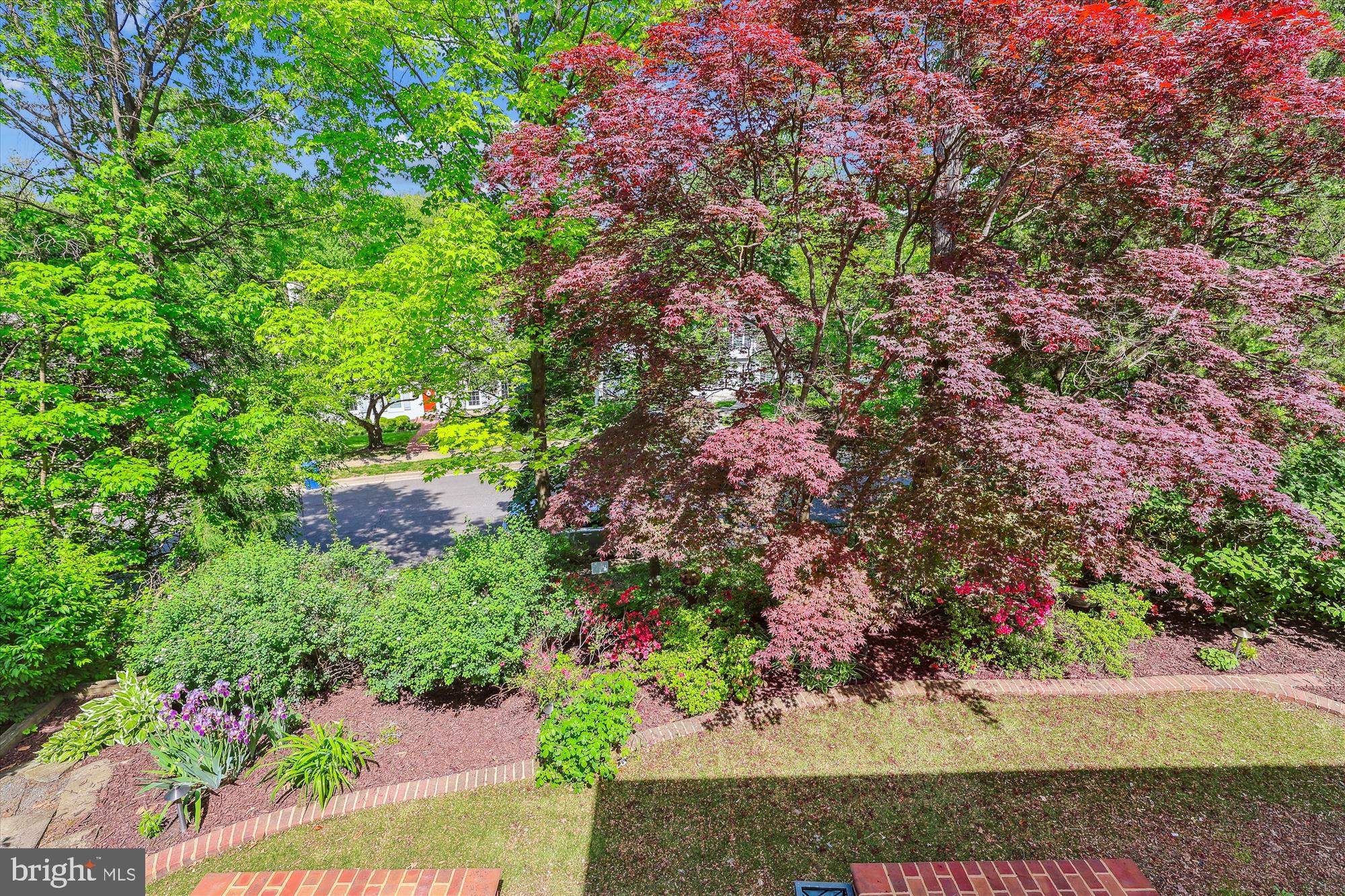 EDDINGTON TERRACE - Residential