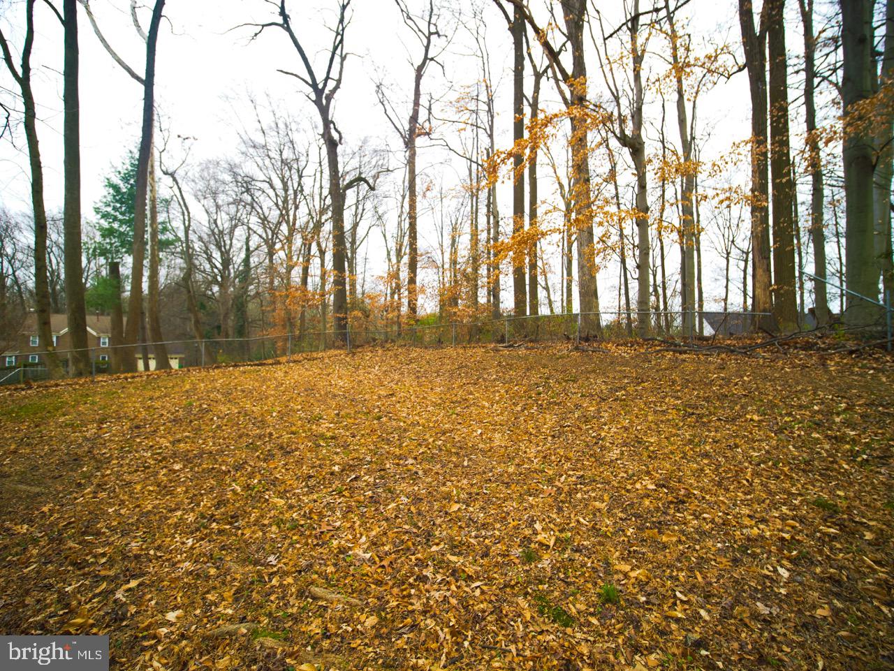 HOLMEHURST WEST - Residential