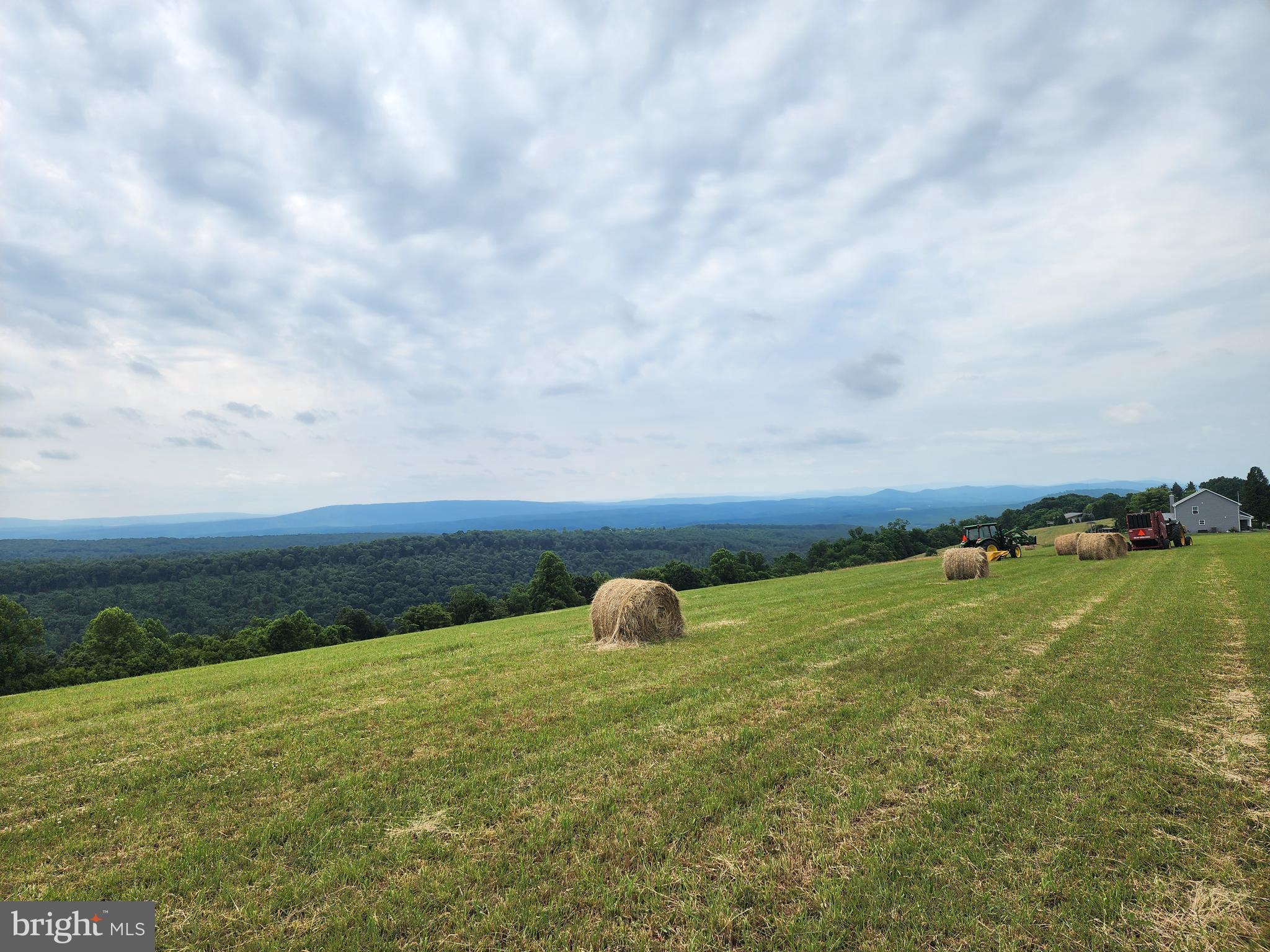 94 ACRES MOORES HOLLOW ROAD