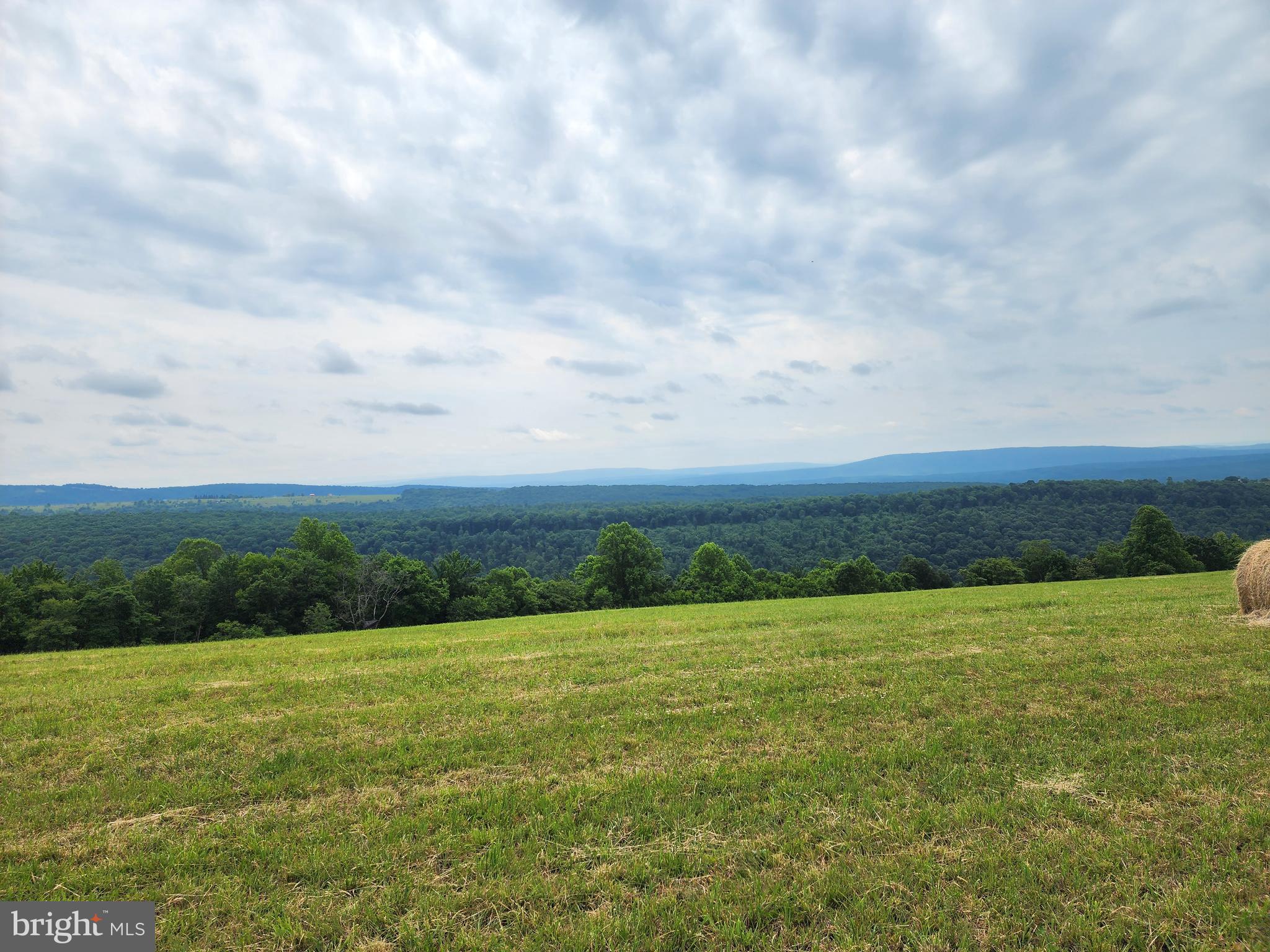 94 ACRES MOORES HOLLOW ROAD