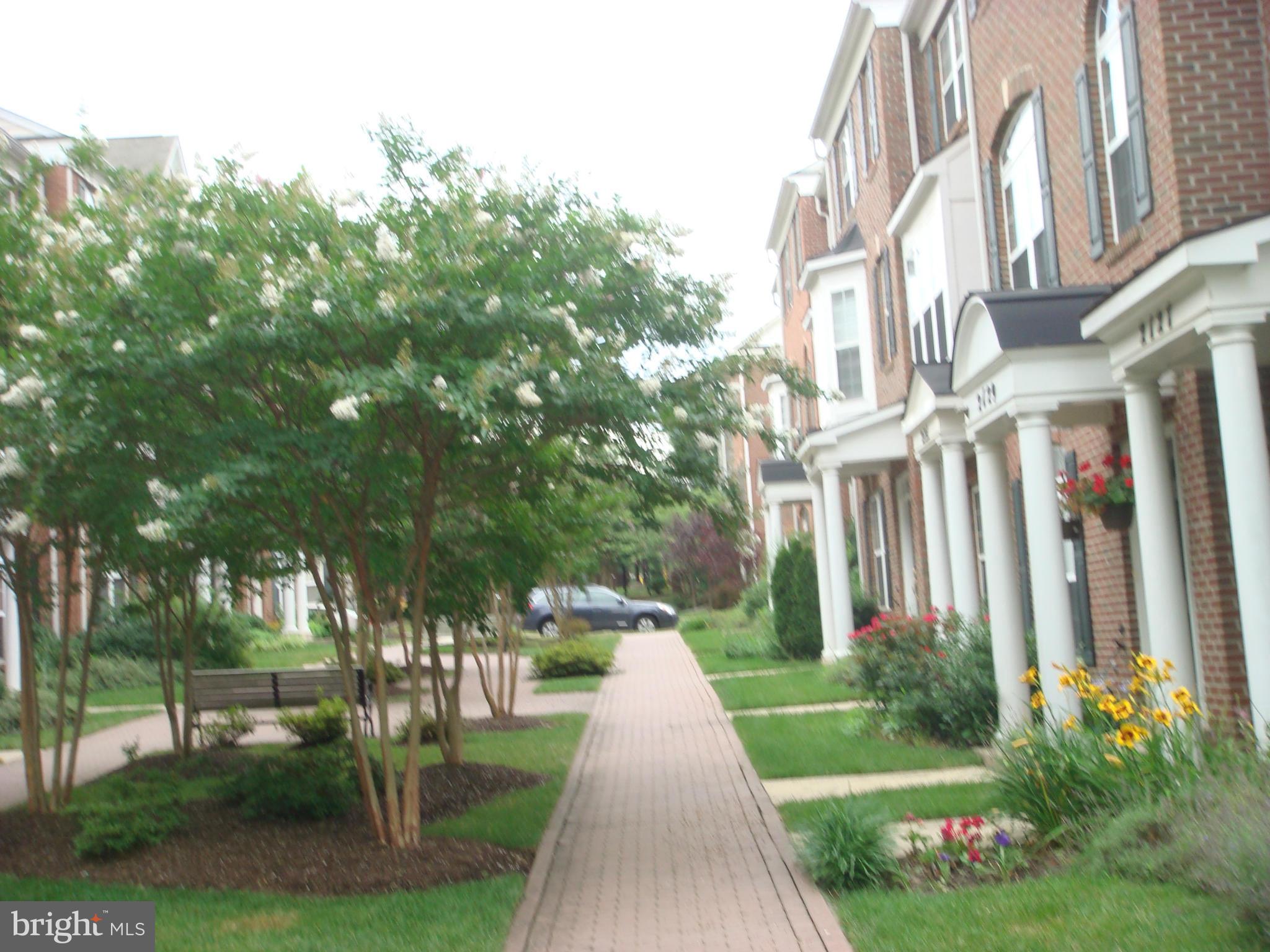 BELVEDERE GLEN - Residential Lease