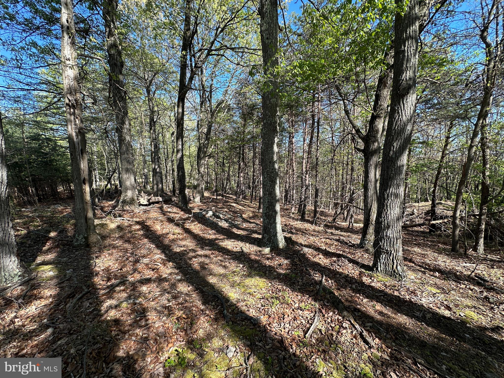 BLUFFS ON THE POTOMAC - Land