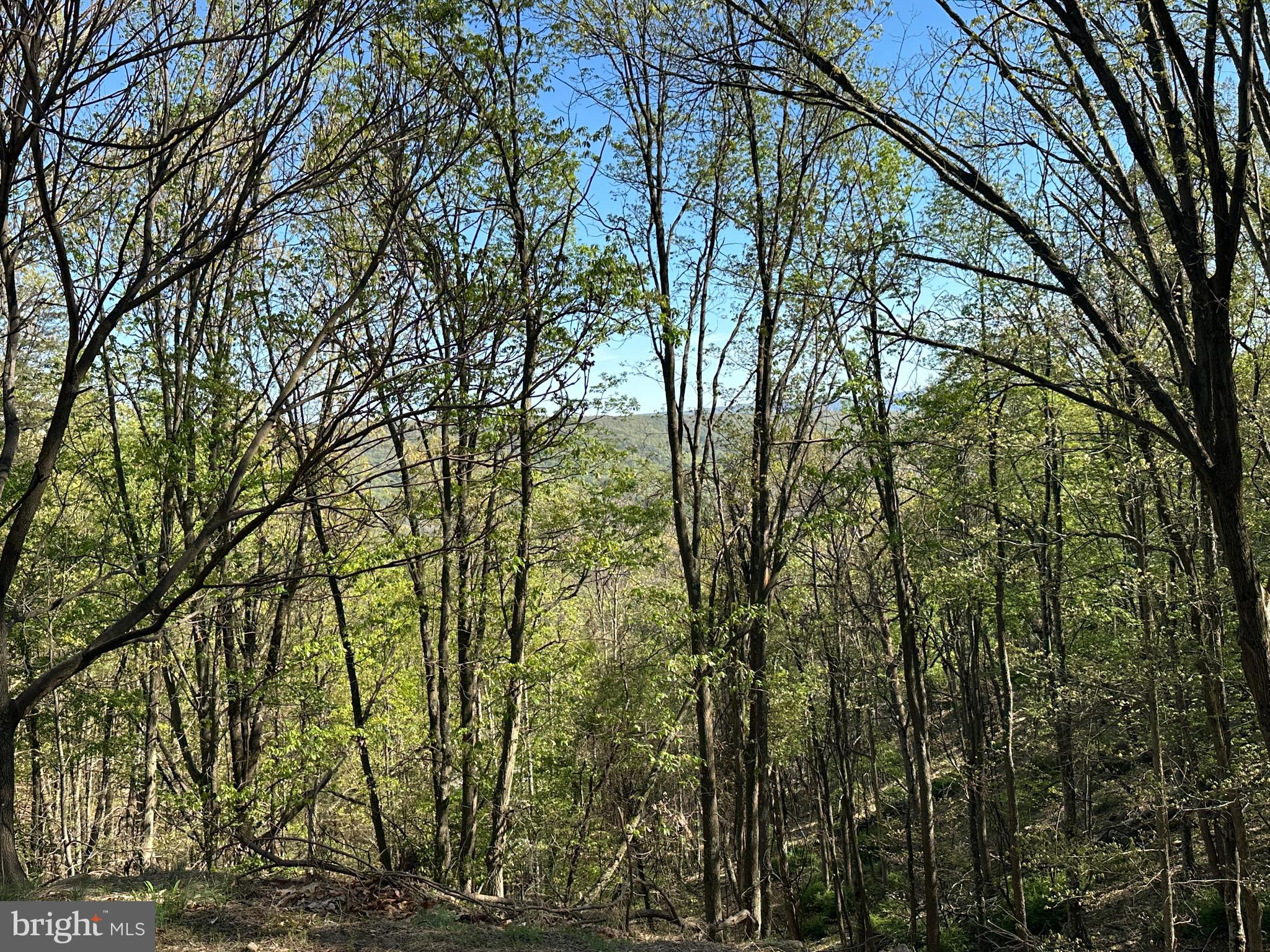 BLUFFS ON THE POTOMAC - Land