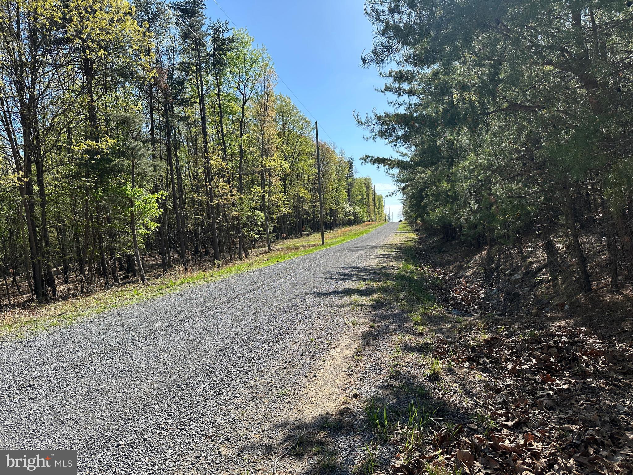 BLUFFS ON THE POTOMAC - Land