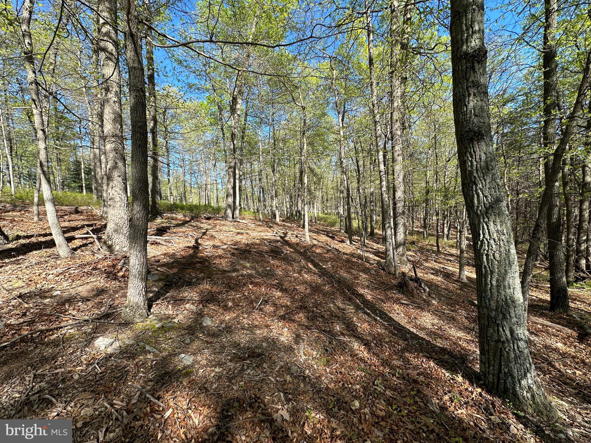 BLUFFS ON THE POTOMAC - Land