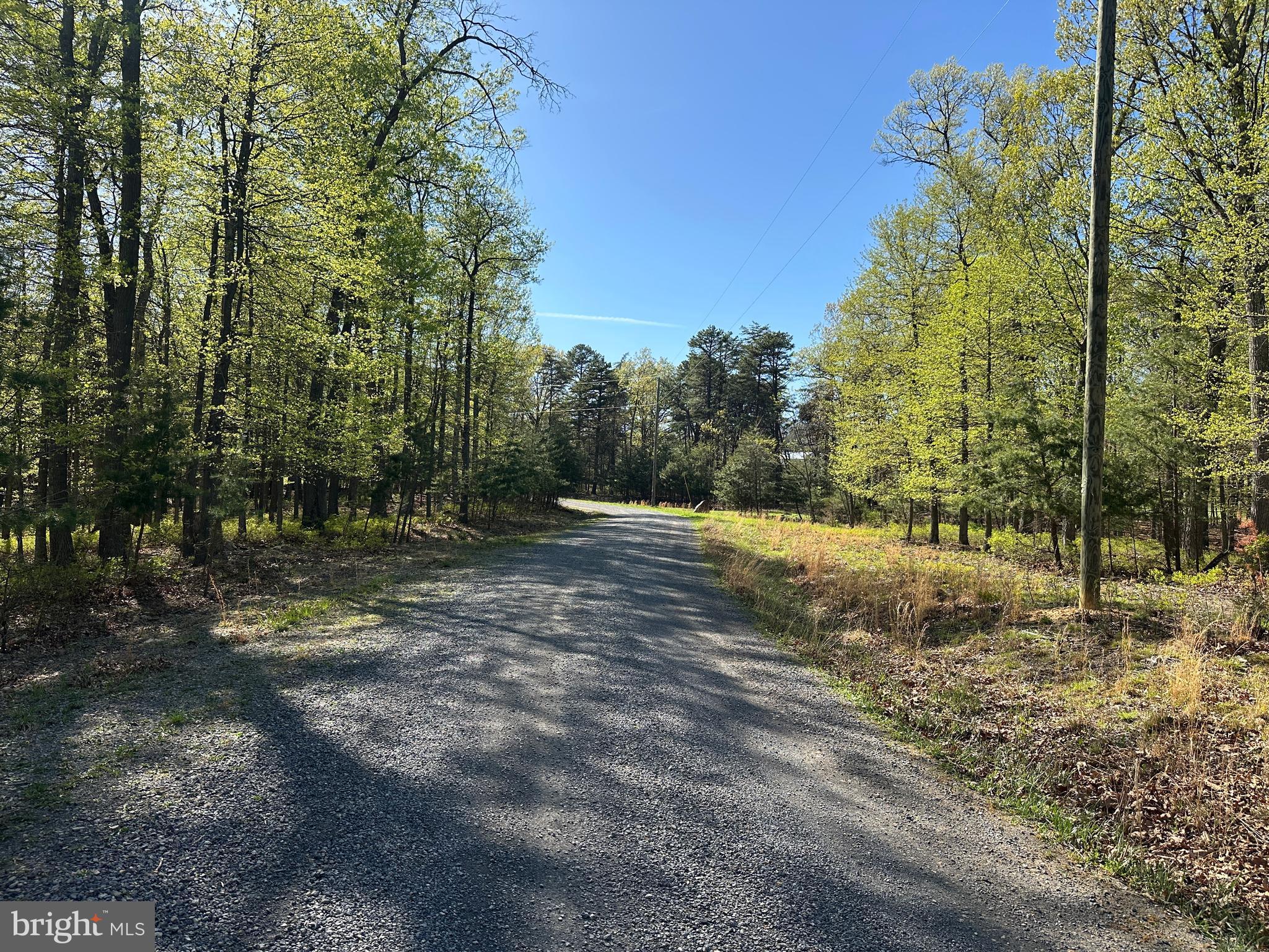 BLUFFS ON THE POTOMAC - Land