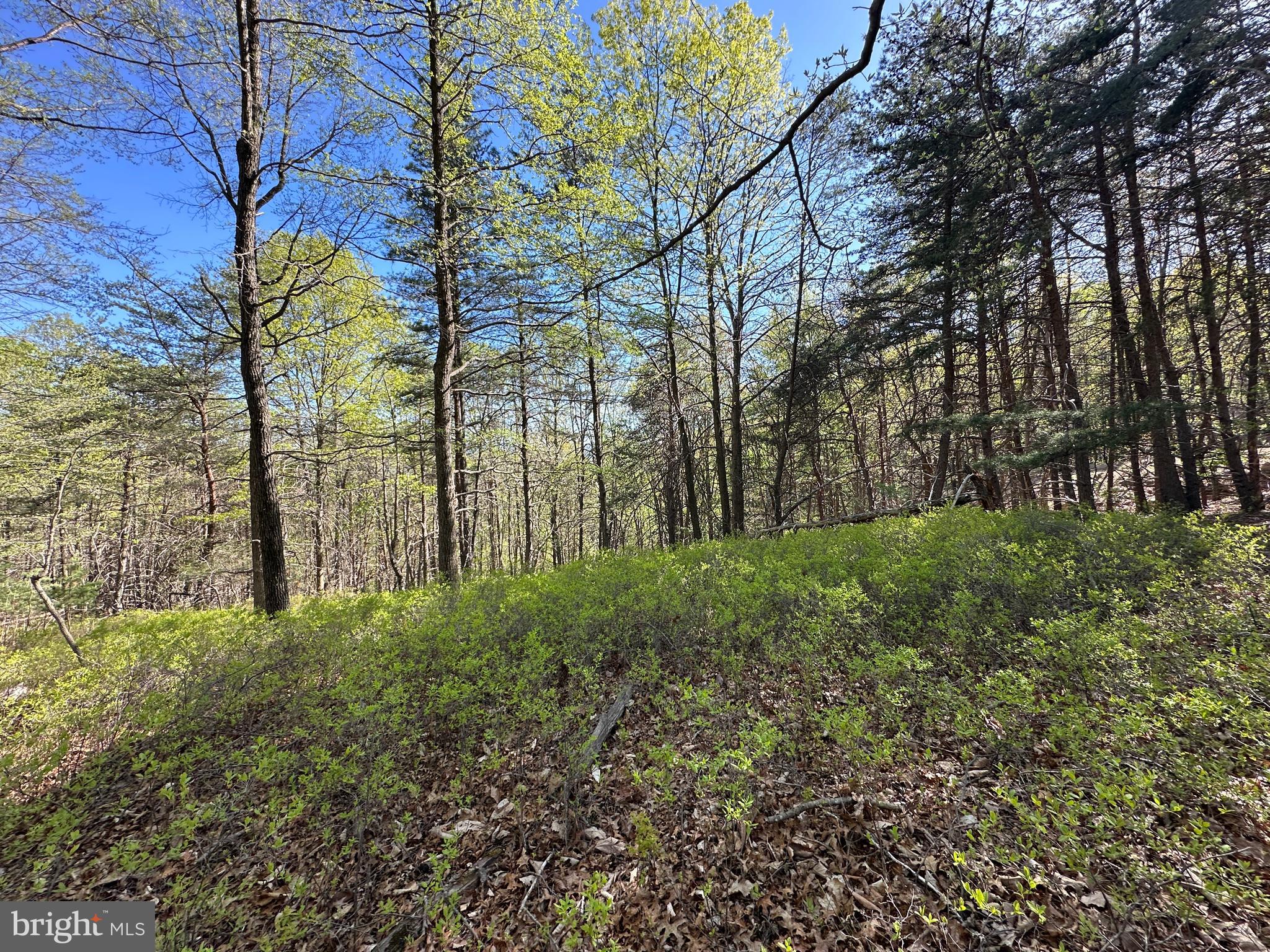 BLUFFS ON THE POTOMAC - Land
