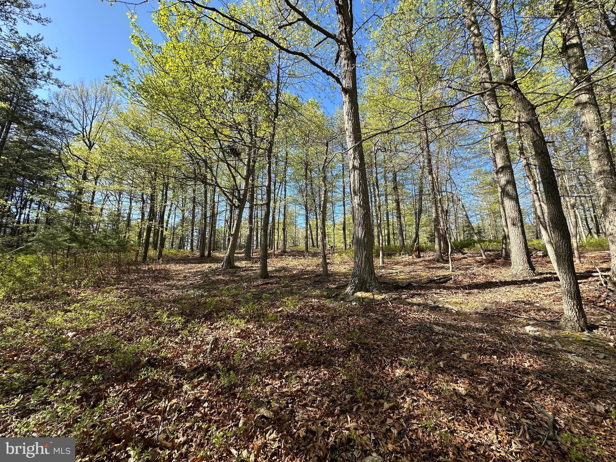 BLUFFS ON THE POTOMAC - Land