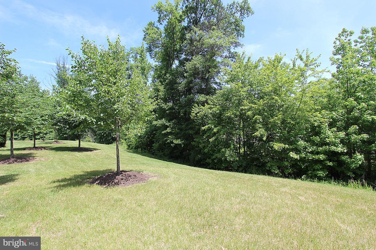 BELMONT BAY - Residential