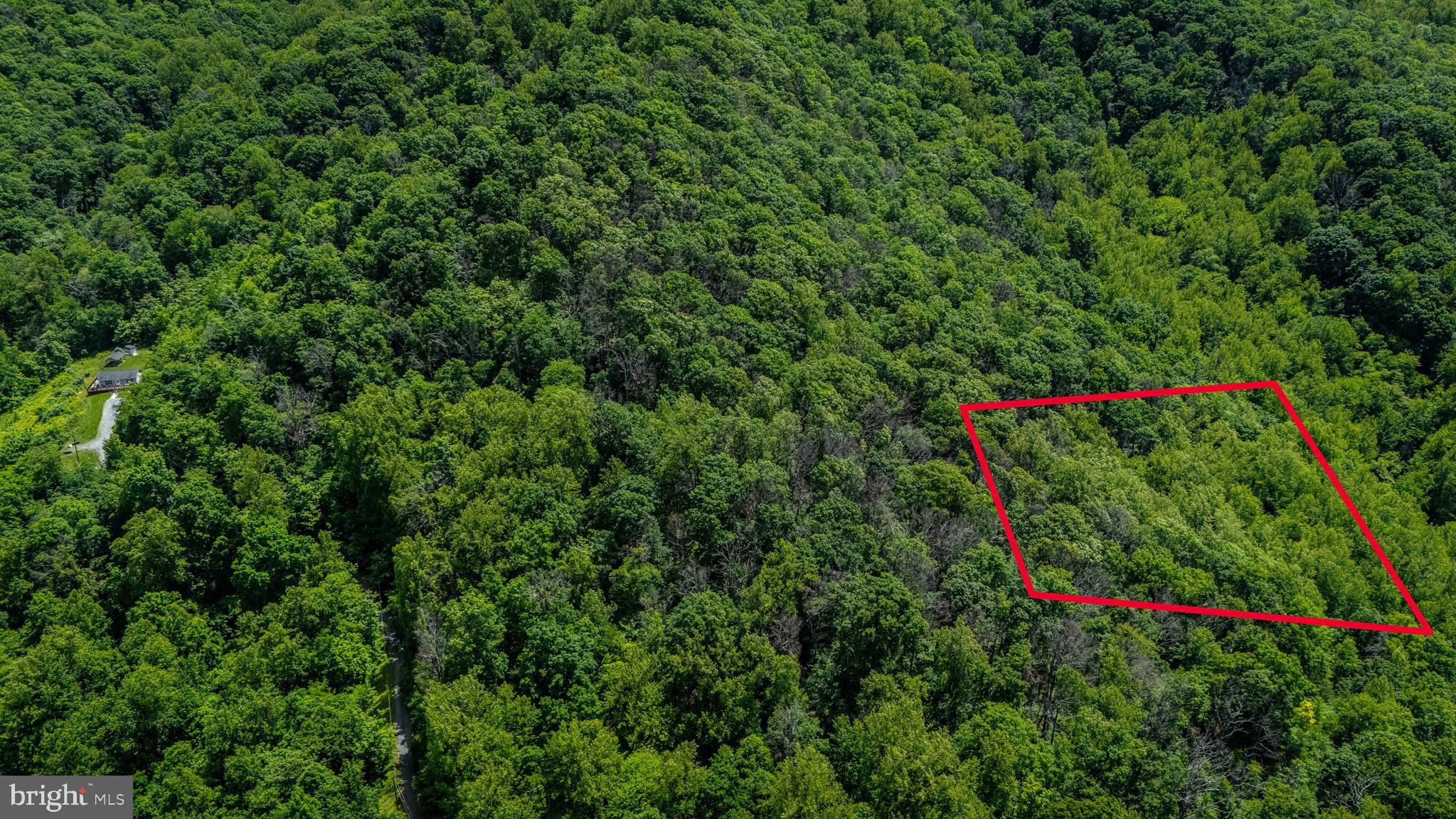 HELMS MOUNTAIN - Land