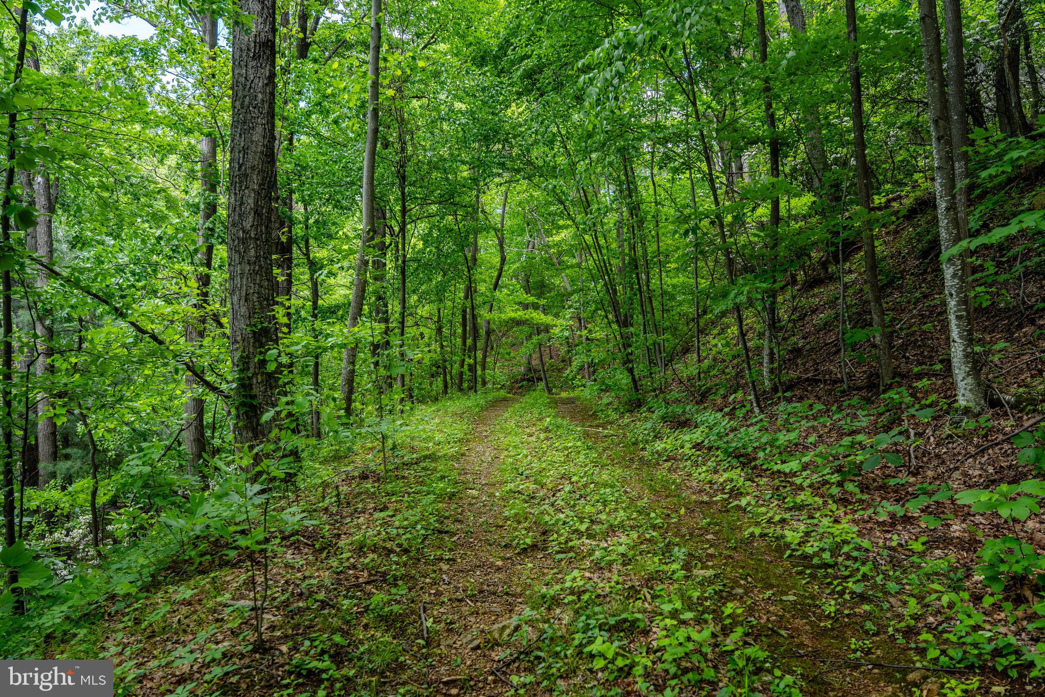 HELMS MOUNTAIN - Land