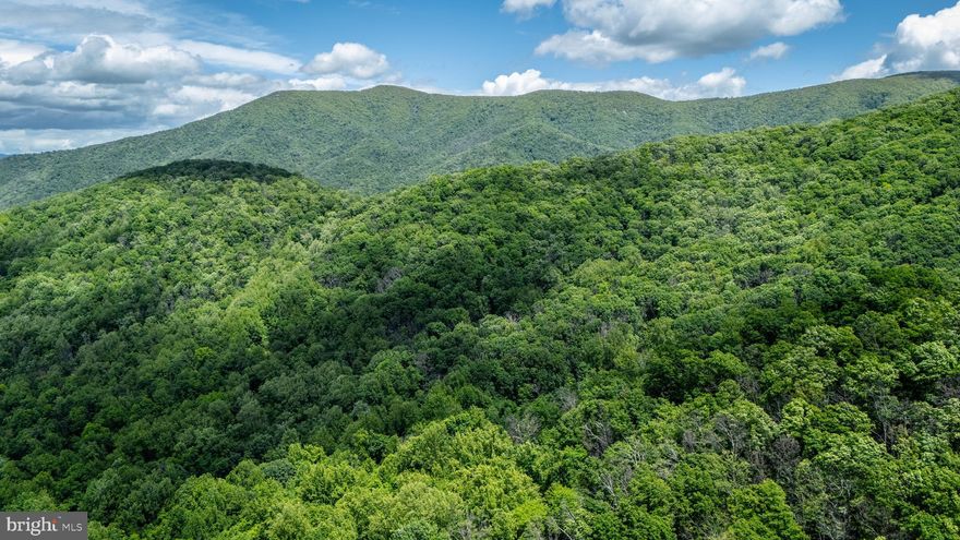 Located just a stones throw from the Shenandoah National Park boundary, this 1.15 acre lot offers incredible seclusion, privacy, and long-range winter views of the surrounding countryside - with potential for year-round views with selective clearing. This is an incredible opportunity to build a tiny cabin, treehouse, or glamping site to use as a weekend retreat or a lucrative short-term rental (like the nearby Helms Mountain Hideaway). The lot is located just 2 hours from Washington DC and accessible within 90 minutes from many parts of Northern Virginia. Current owners began work on a cabin build and have completed an updated survey, 2-bedroom Perc test on file, and pulled well and septic permits. Plans for a modern 2 bedroom cabin purchased by current owners and may convey with sale. Reach out now to schedule a showing!