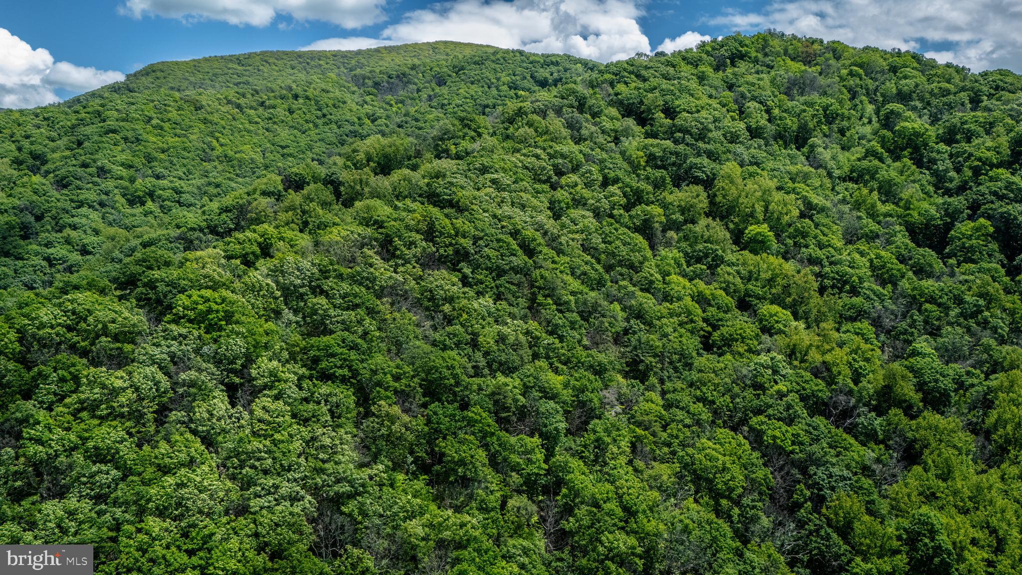 HELMS MOUNTAIN - Land