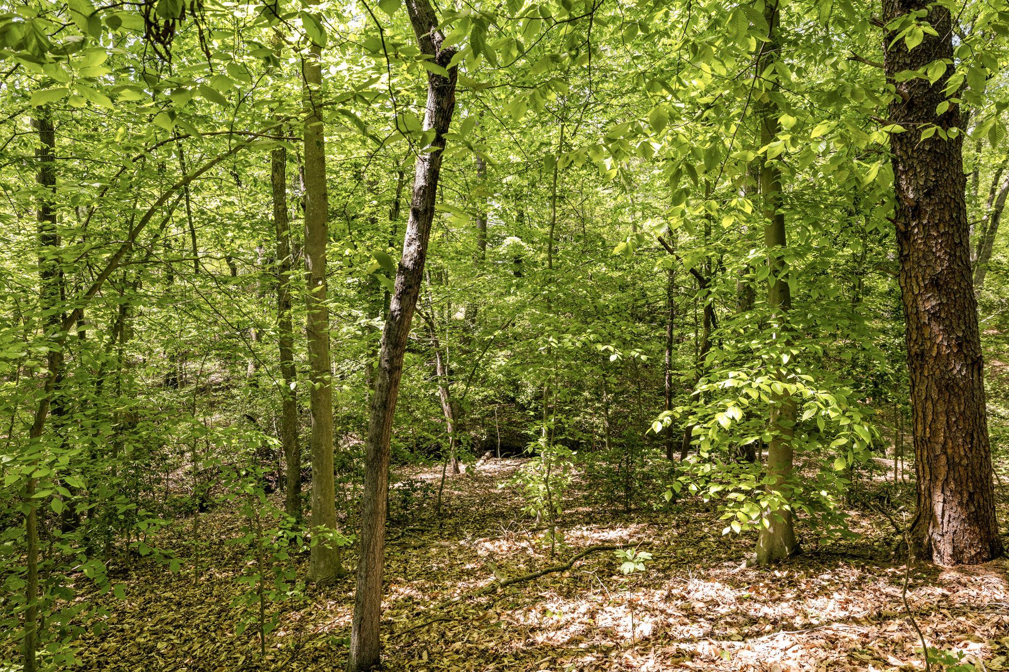 DEACON ROAD ESTATES - Residential