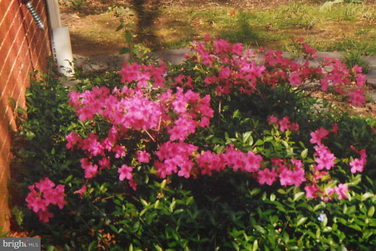 WAVERLY HILLS - Residential