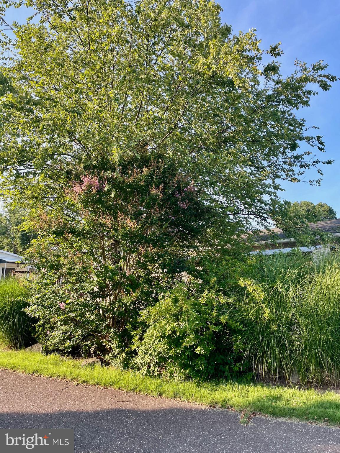 NORRISTOWN - Residential Lease