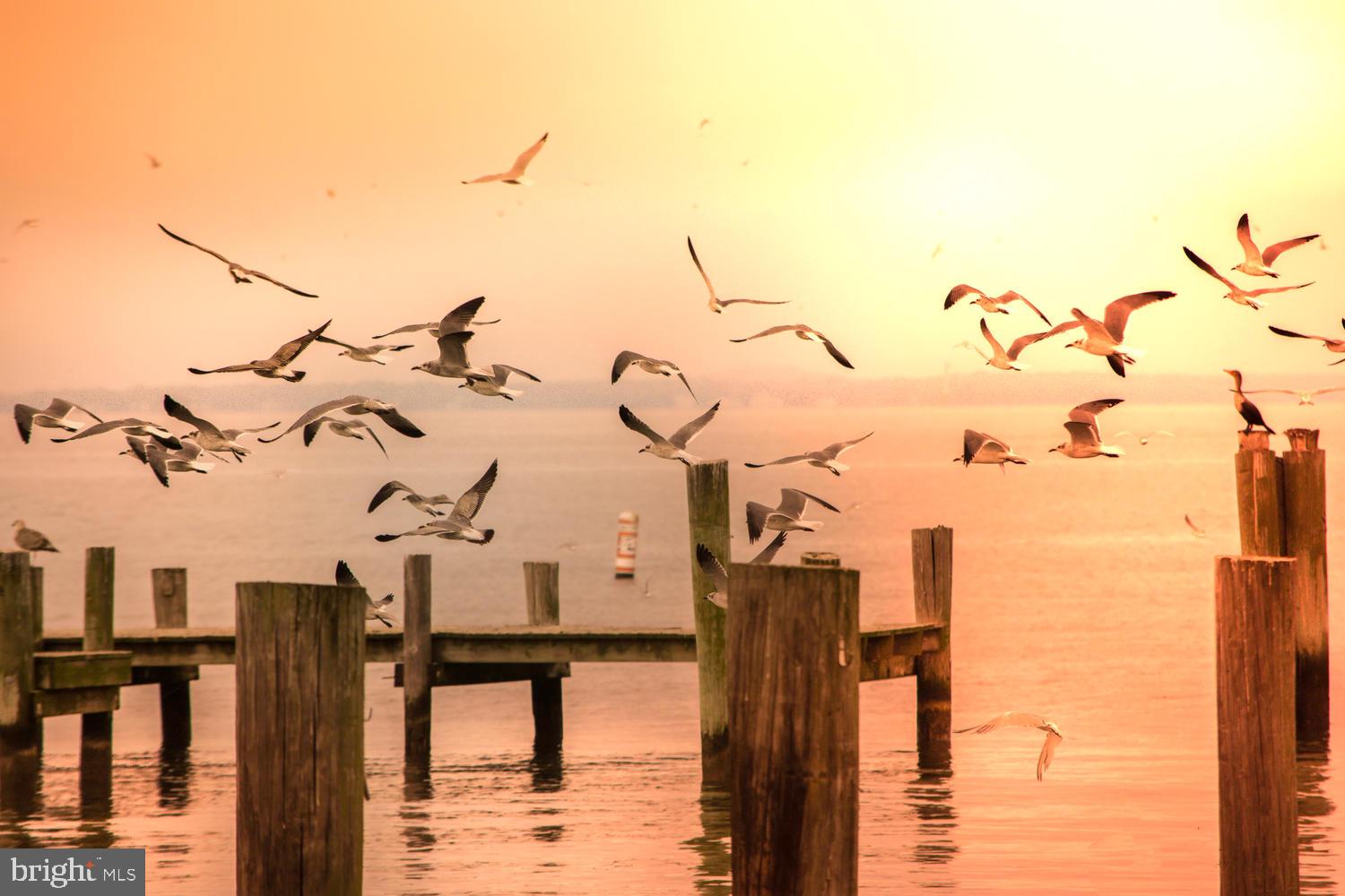 BAY CITY - Residential