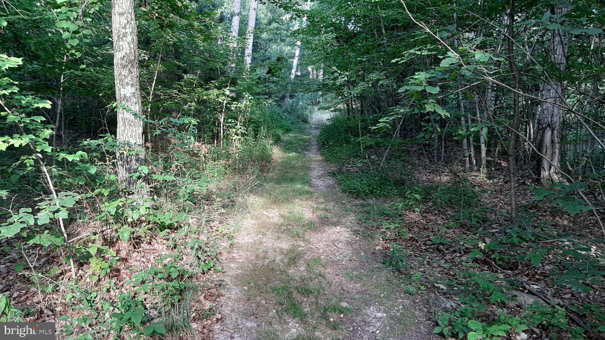 BRUSH LEAF LANE