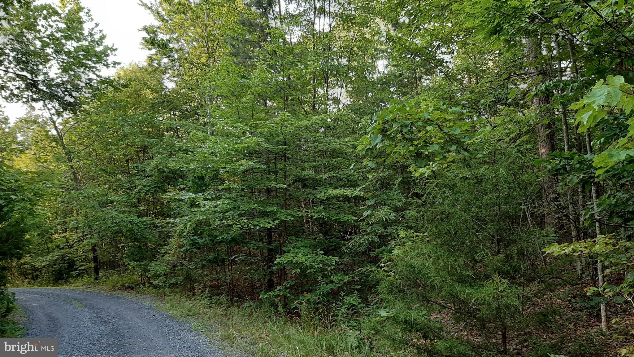 BRUSH LEAF LANE