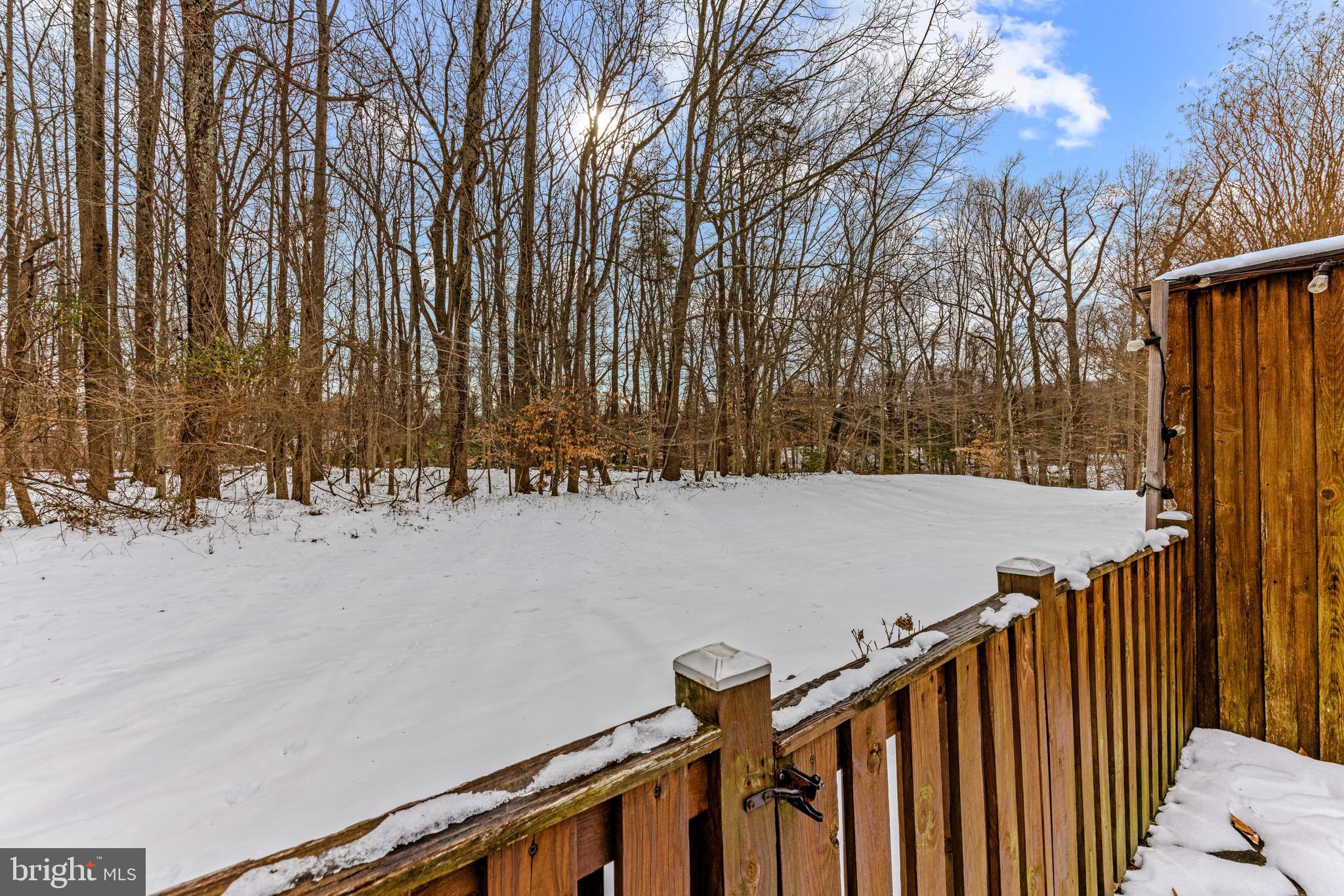 HUNT MEADOW - Residential