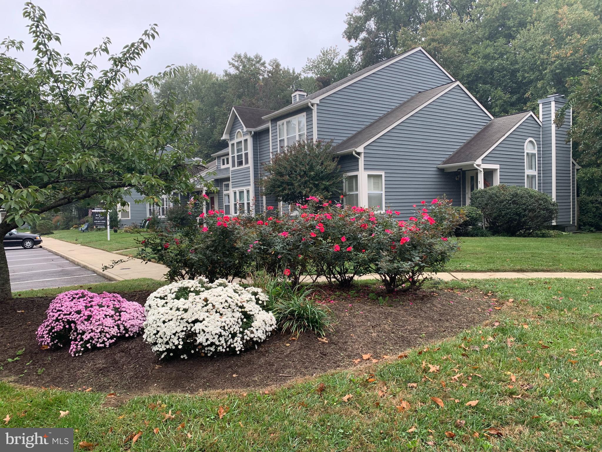 HUNT MEADOW - Residential