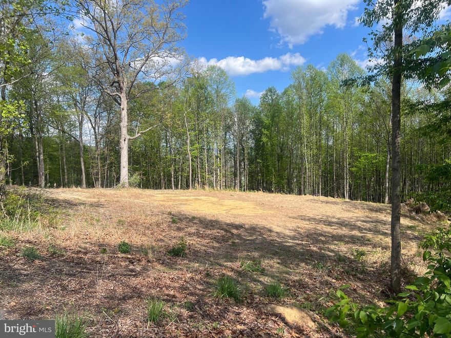 Discover the perfect blend of privacy and convenience with this beautiful 2-acre lot nestled in an already established, highly desirable neighborhood. Nicely wooded and full of natural charm, this property offers a peaceful, country-like setting where you can enjoy the sights and sounds of nature right outside your door. Despite its serene feel, you’re just minutes from downtown Cumberland, giving you easy access to shopping, dining, and everyday amenities. Build your dream home n a prime piece of land, this lot offers the ideal balance of nature and accessibility.