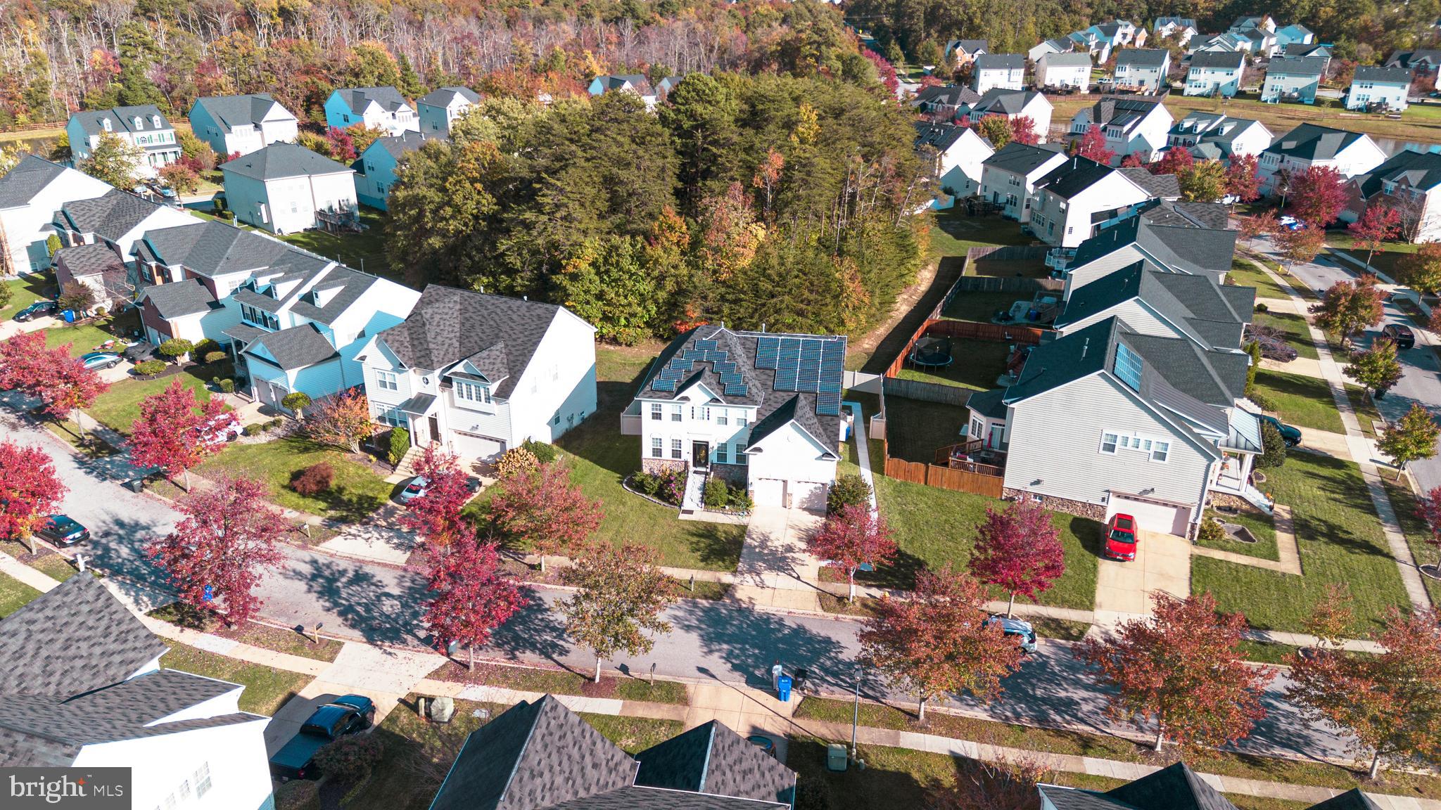 AVALON - Residential Lease