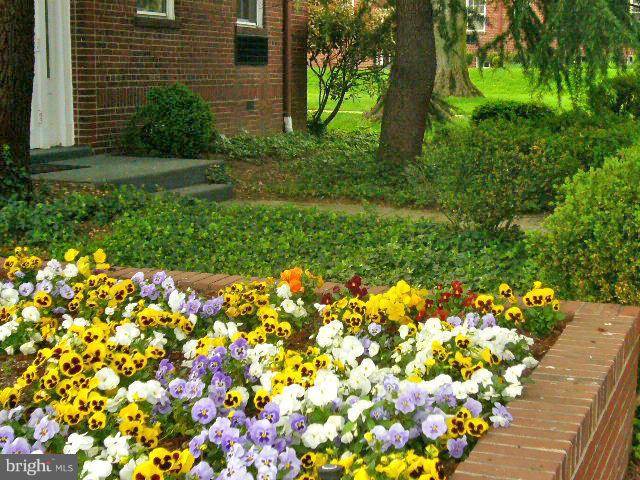 OLD TOWN GARDENS - Residential