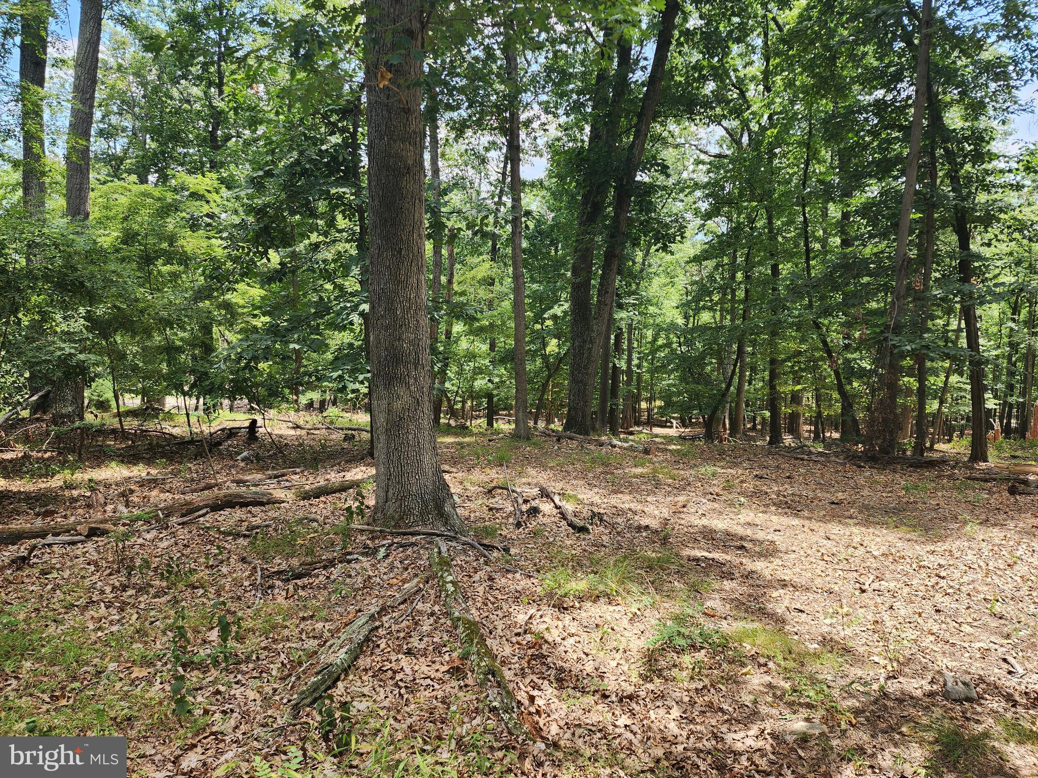 LOST RIVER RIDGE CIRCLE - Land