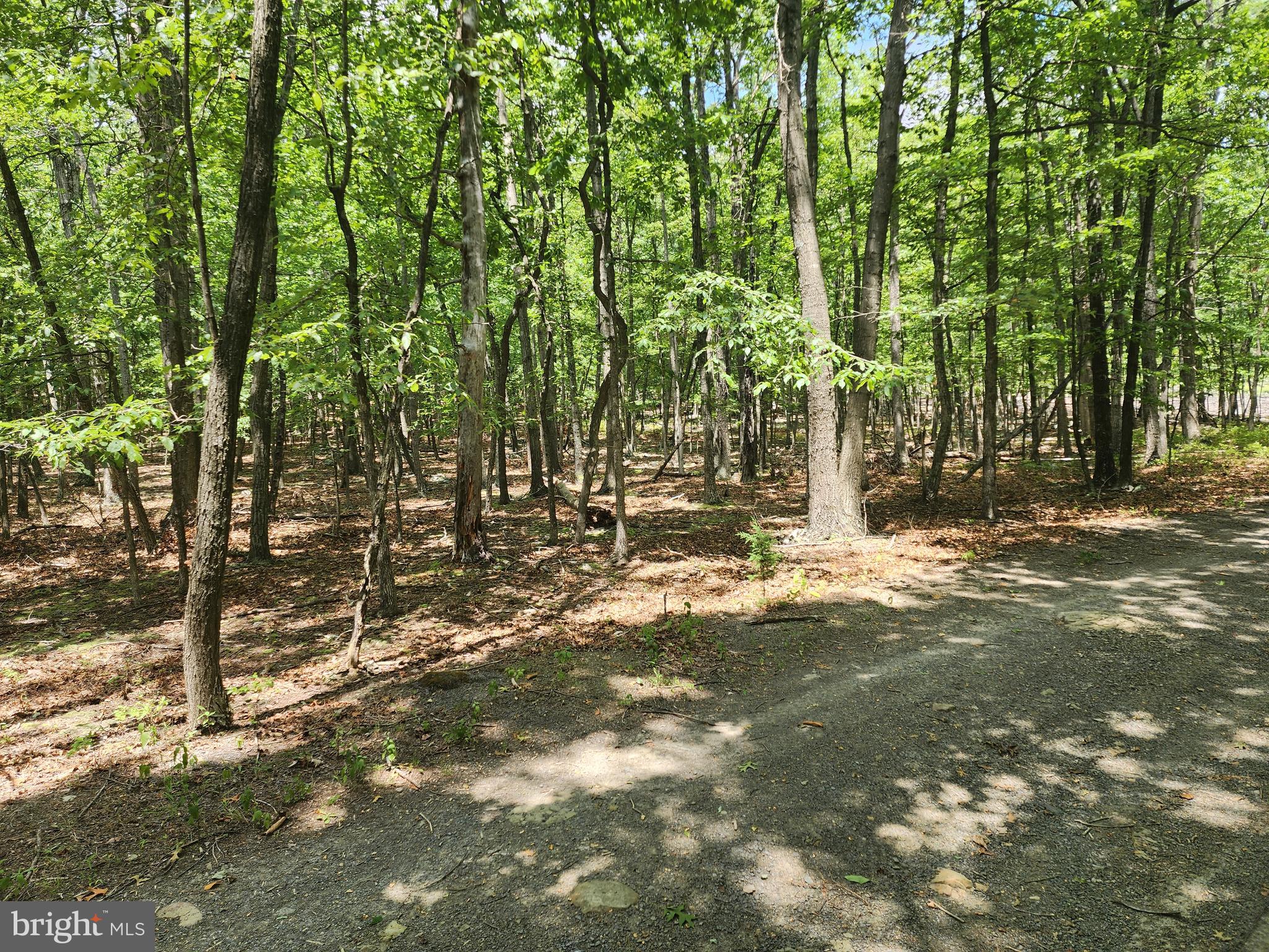 LOST RIVER RIDGE CIRCLE - Land