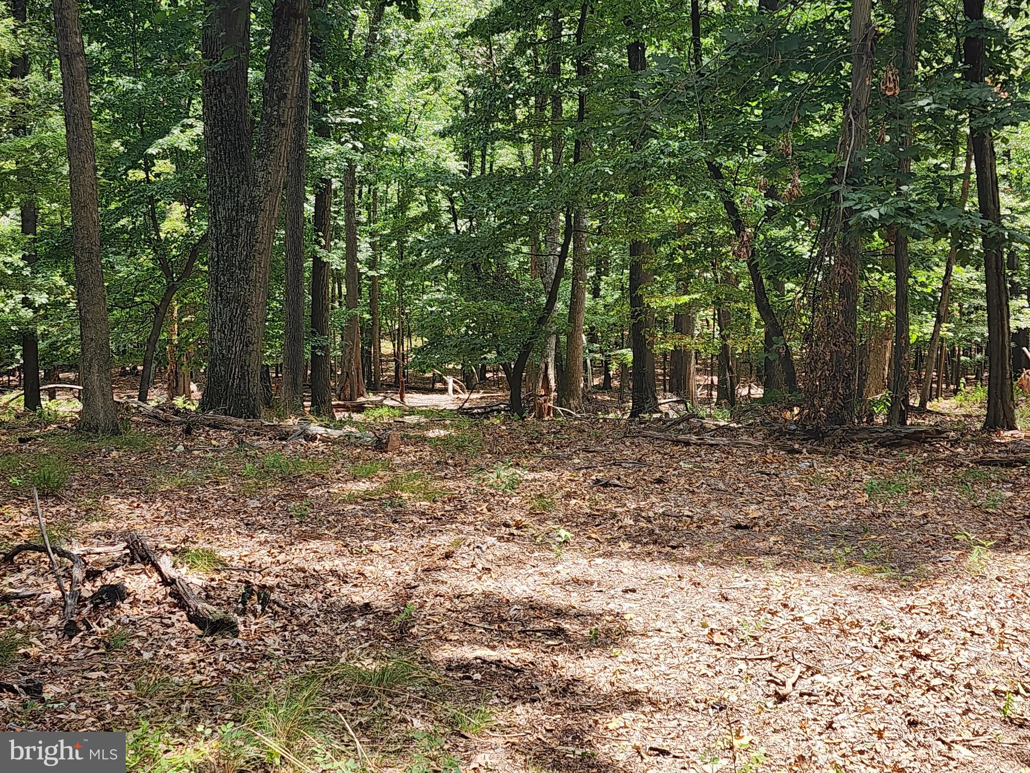 LOST RIVER RIDGE CIRCLE - Land