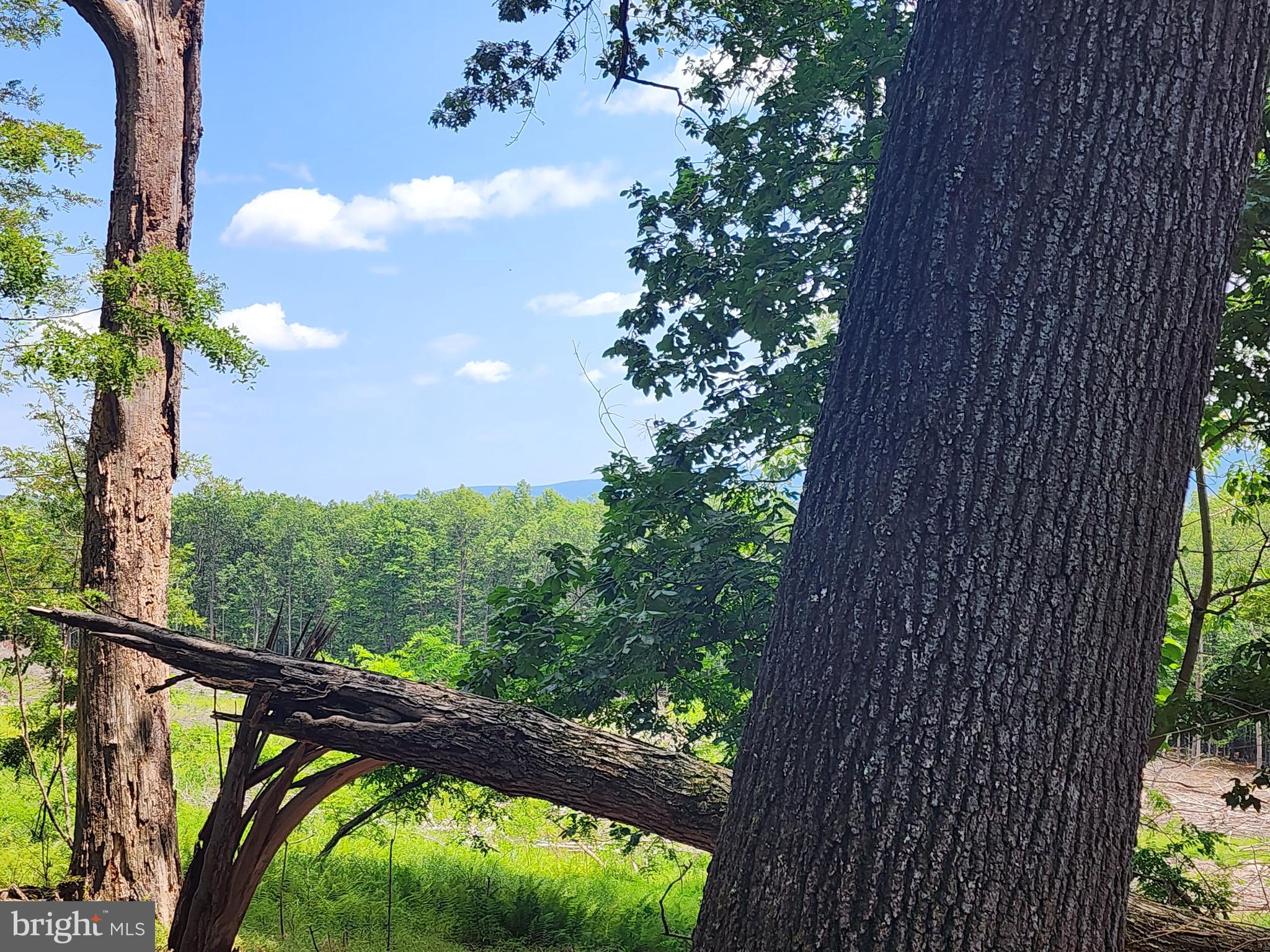 LOST RIVER RIDGE CIRCLE - Land