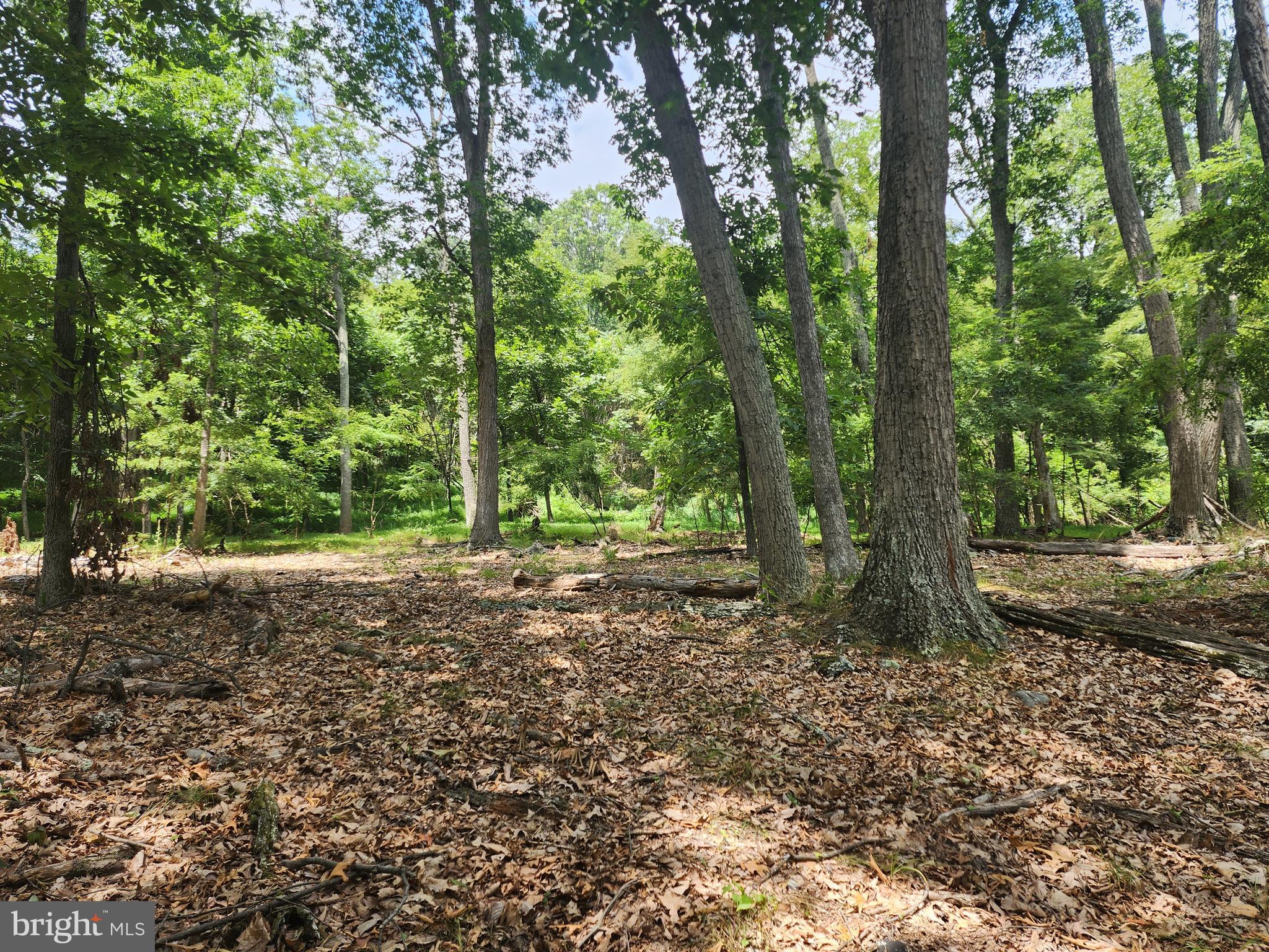 LOST RIVER RIDGE CIRCLE - Land