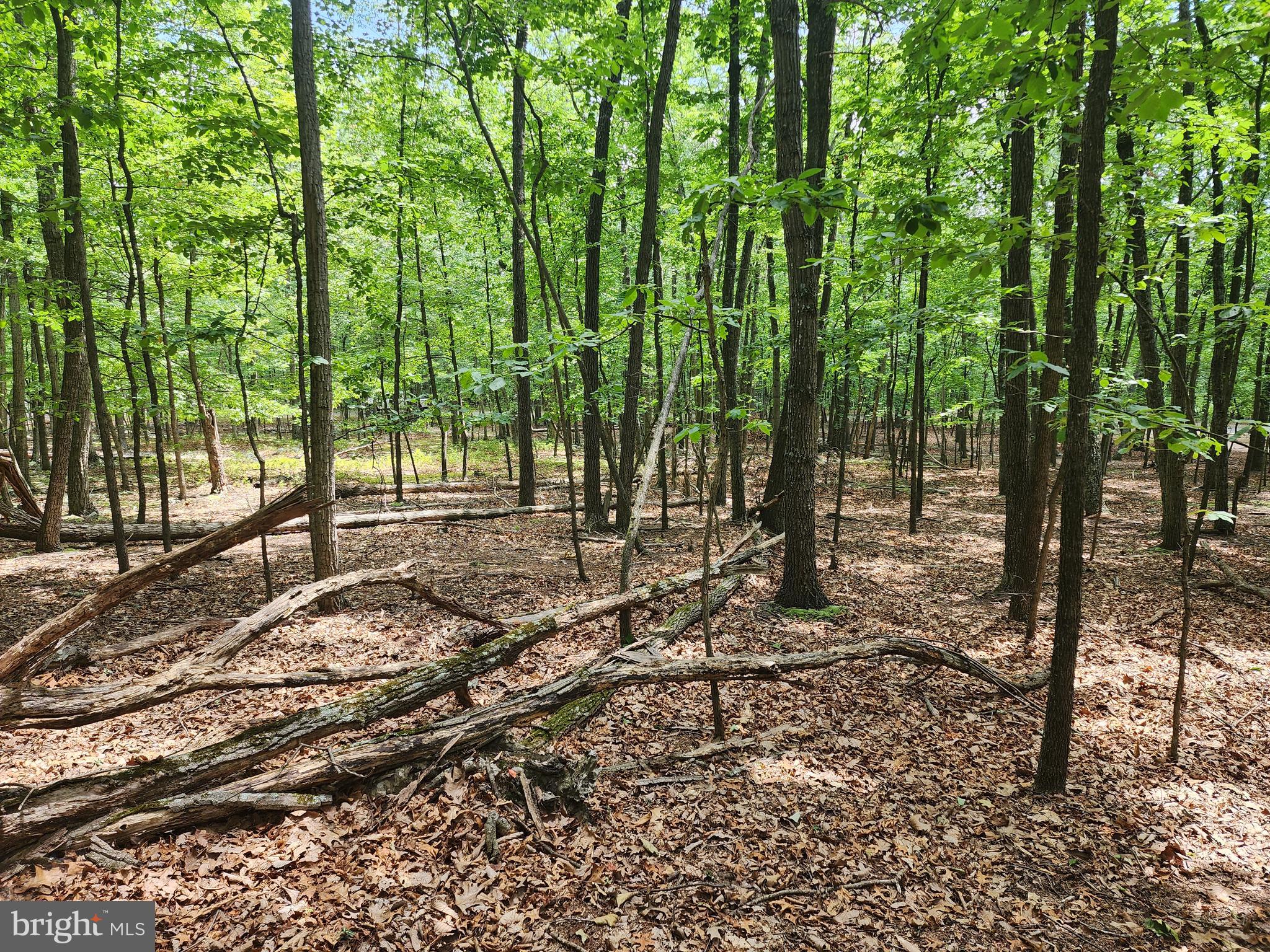 LOST RIVER RIDGE CIRCLE - Land