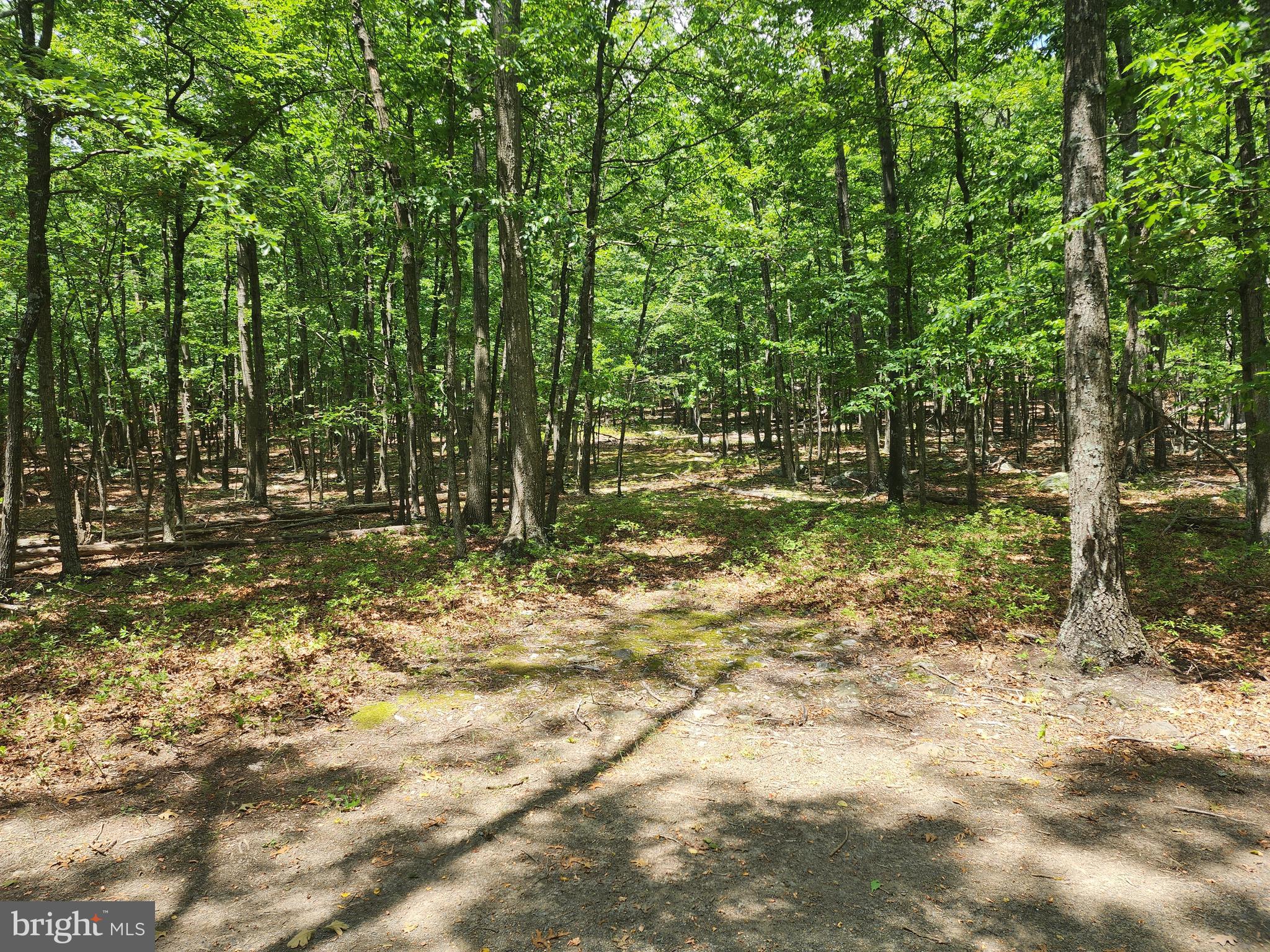 LOST RIVER RIDGE CIRCLE - Land