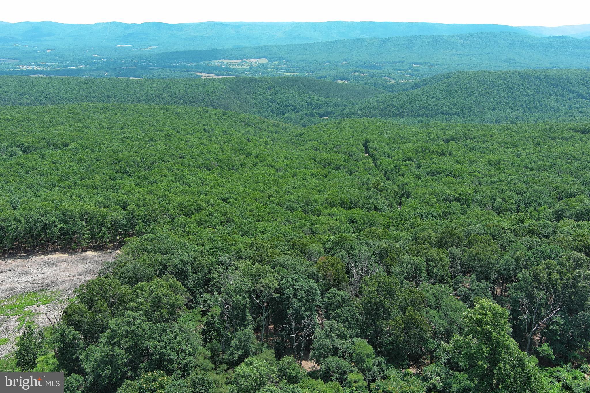 LOST RIVER RIDGE CIRCLE - Land