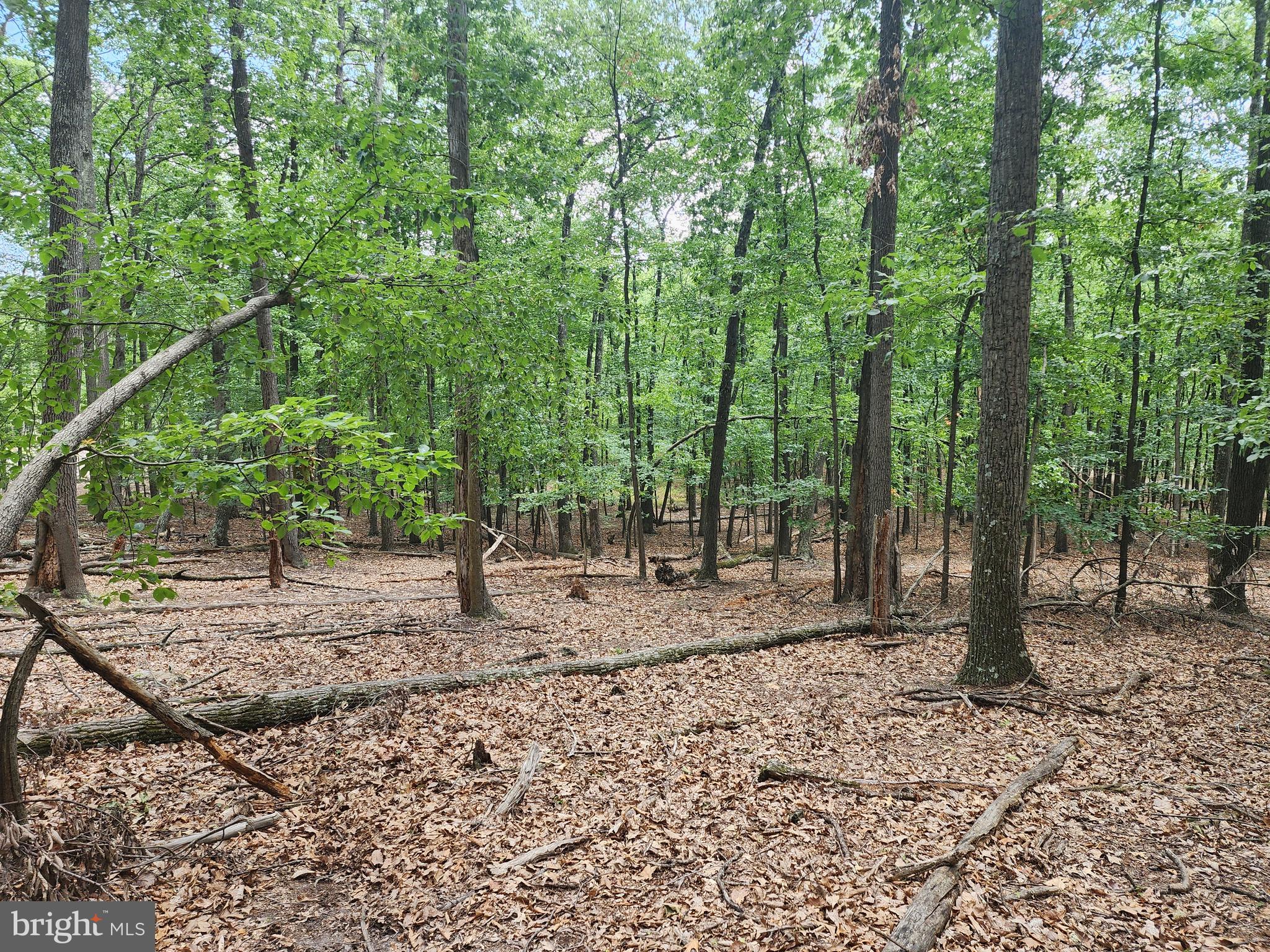 LOST RIVER RIDGE CIRCLE - Land