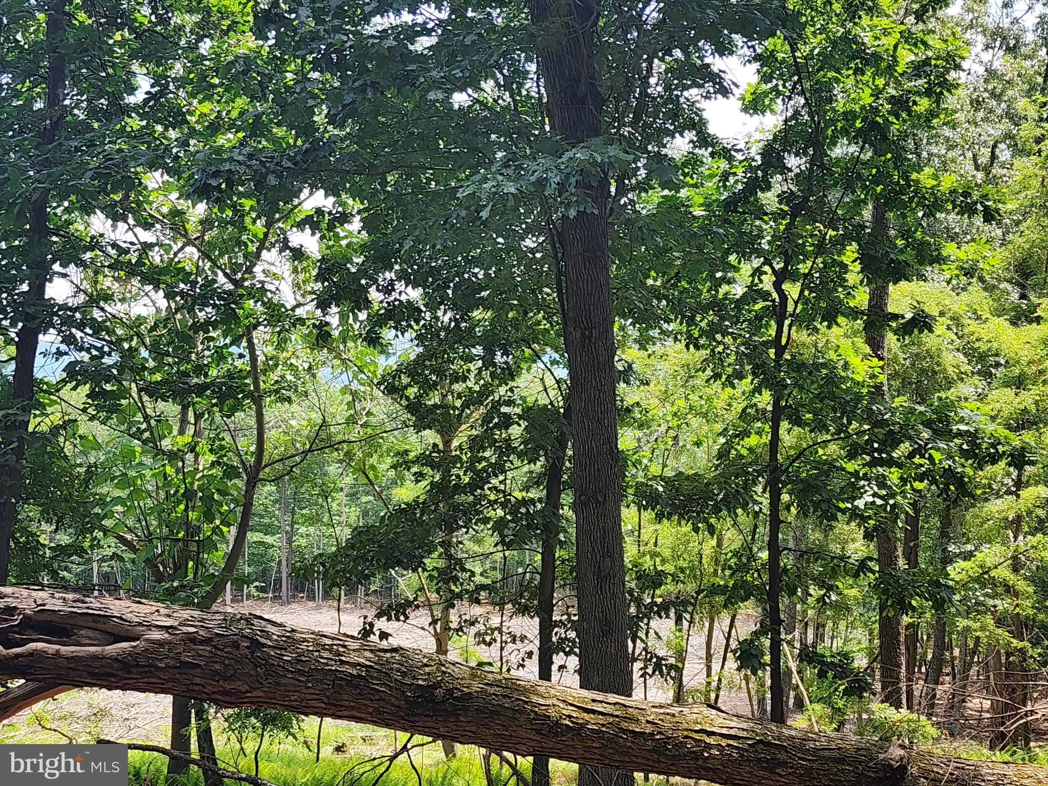 LOST RIVER RIDGE CIRCLE - Land