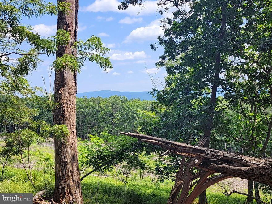ON A RIDGE, AT THE END OF THE ROAD,  JUST OUTSIDE OF THE UP AND COMING TOWN OF WARDENSVILLE, YOU WILL FIND THIS 6+ ACRE LOT WITH A NICE BUILDABLE SPOT, POTENTIAL LONG RANGE VIEWS, AND LARGE HARDWOODS.  WITH THE GEORGE WASHINGTON NATIONAL FOREST, AND THE CACAPON AND LOST RIVERS ONLY MINUTES AWAY, THE PROPERTY WILL AFFORD NEW OWNERS MANY OPPORTUNITIES TO EXPLORE EVERYTHING THAT THE MOUNTAIN STATE HAS TO OFFER.  CHECK IT OUT TODAY!
